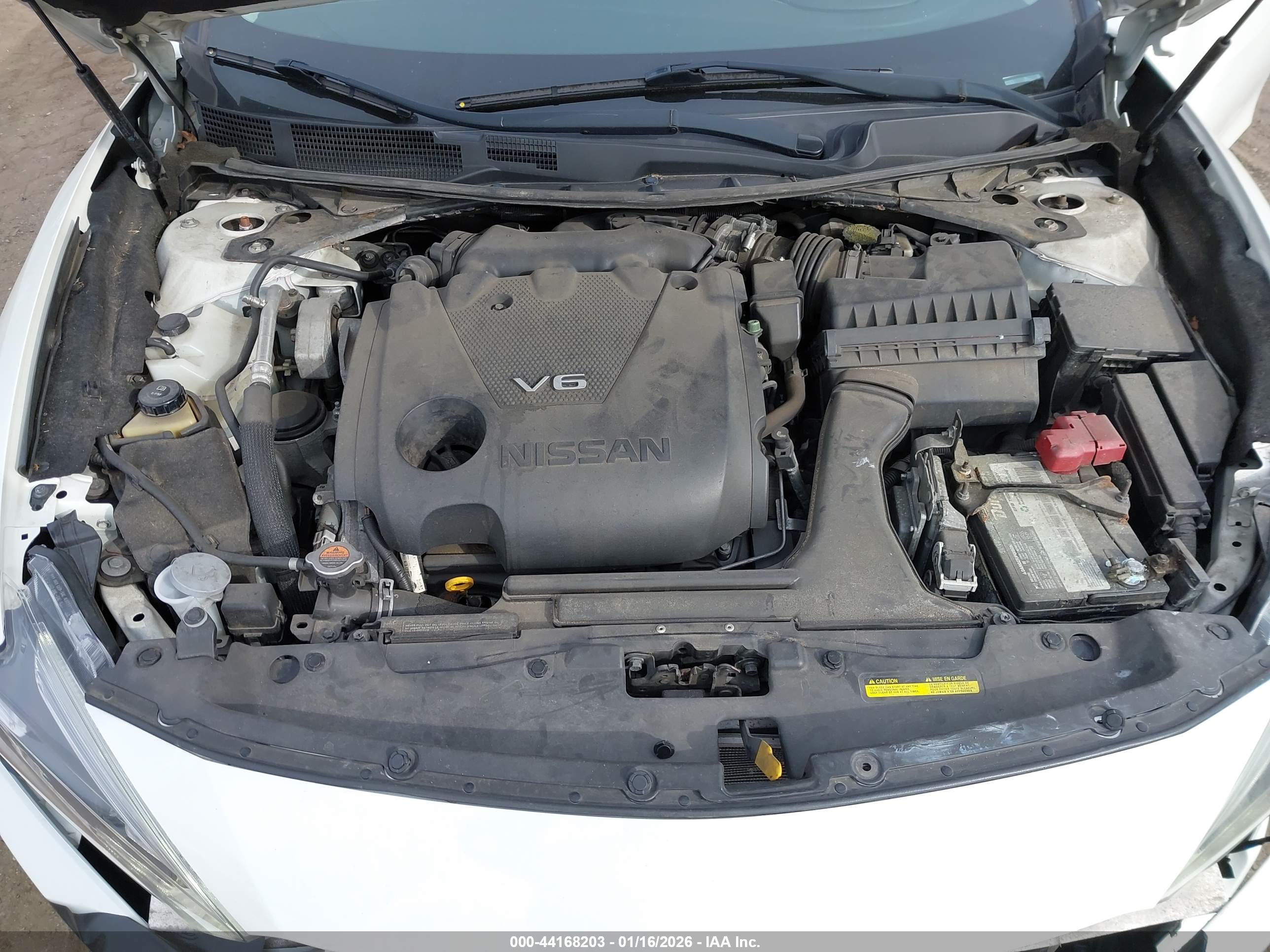 NISSAN MAXIMA image 10