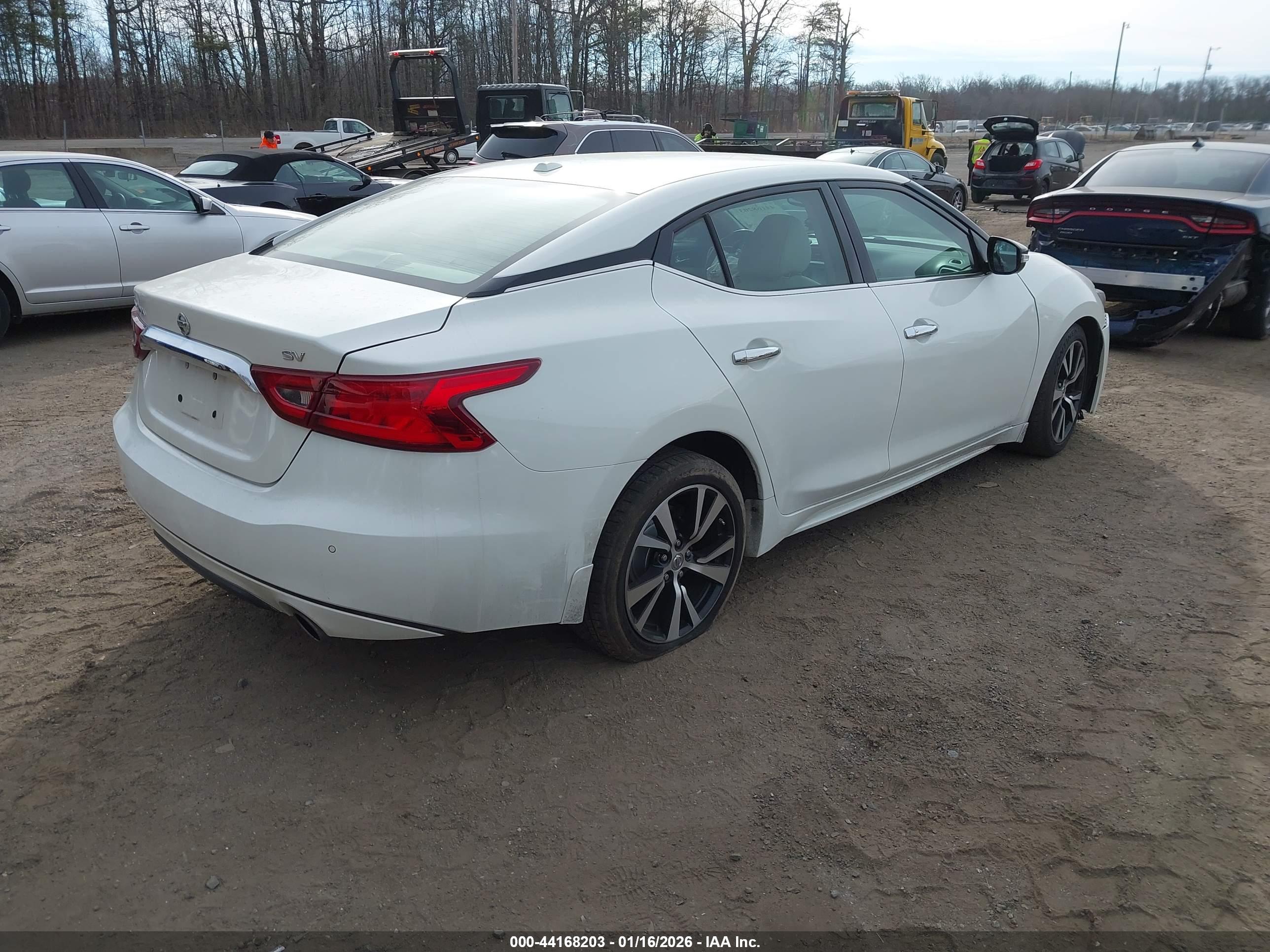 NISSAN MAXIMA image 4