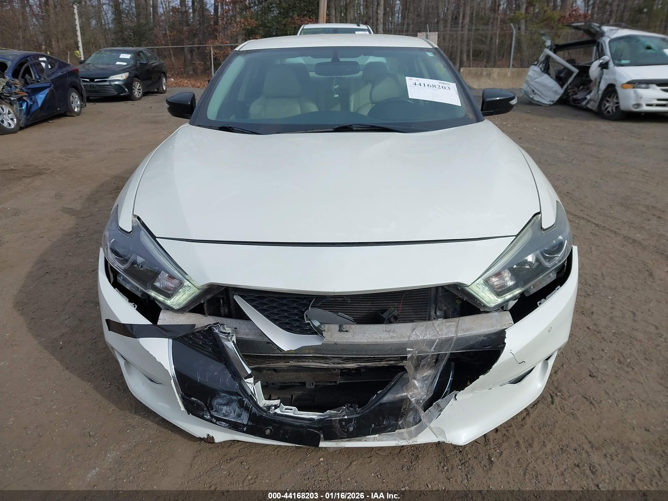 NISSAN MAXIMA image 6