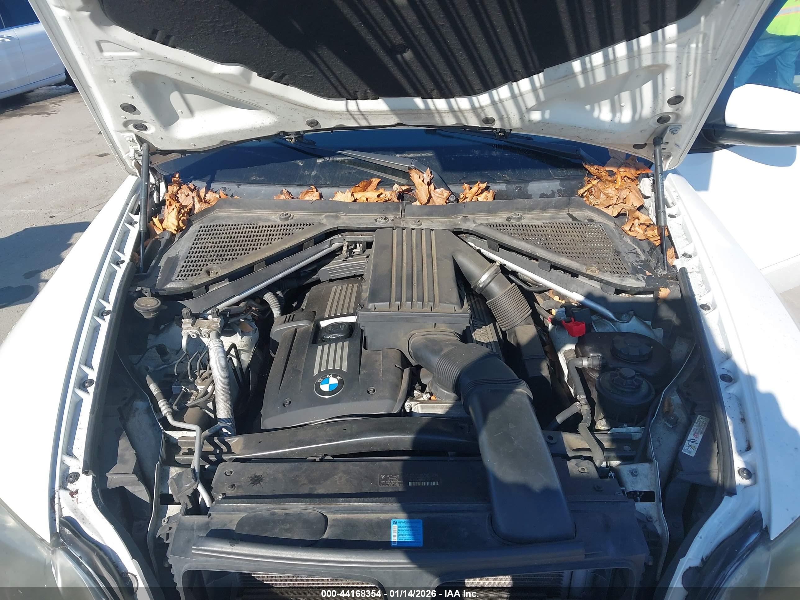 BMW X5 image 10