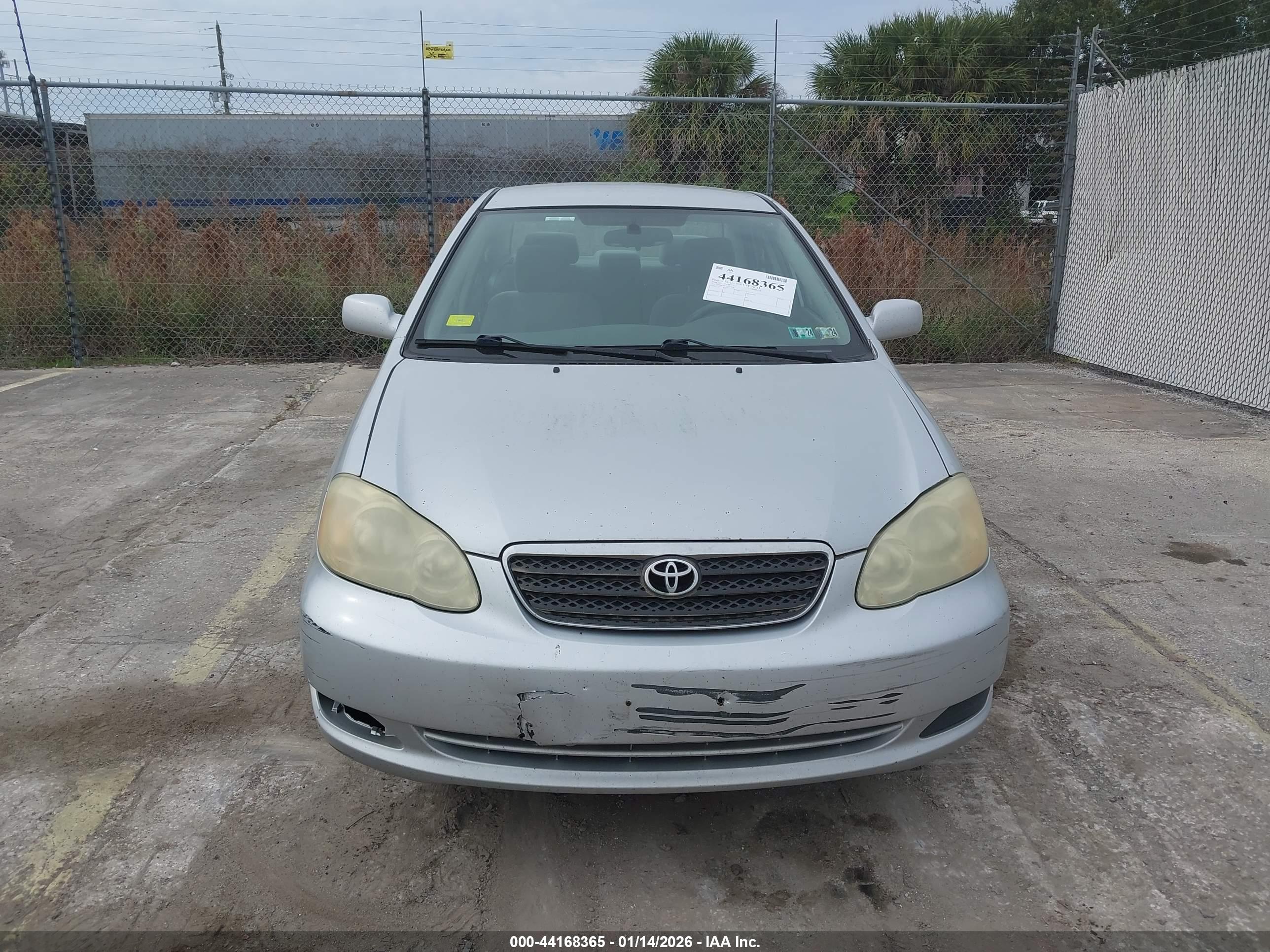 TOYOTA COROLLA image 6