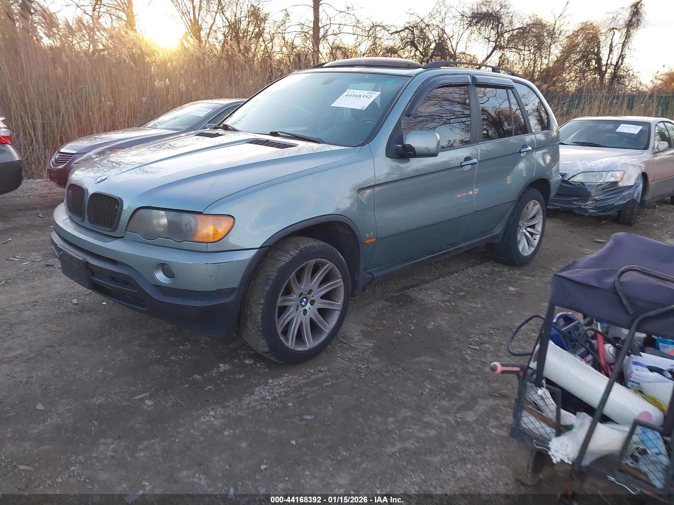 BMW X5 image 2