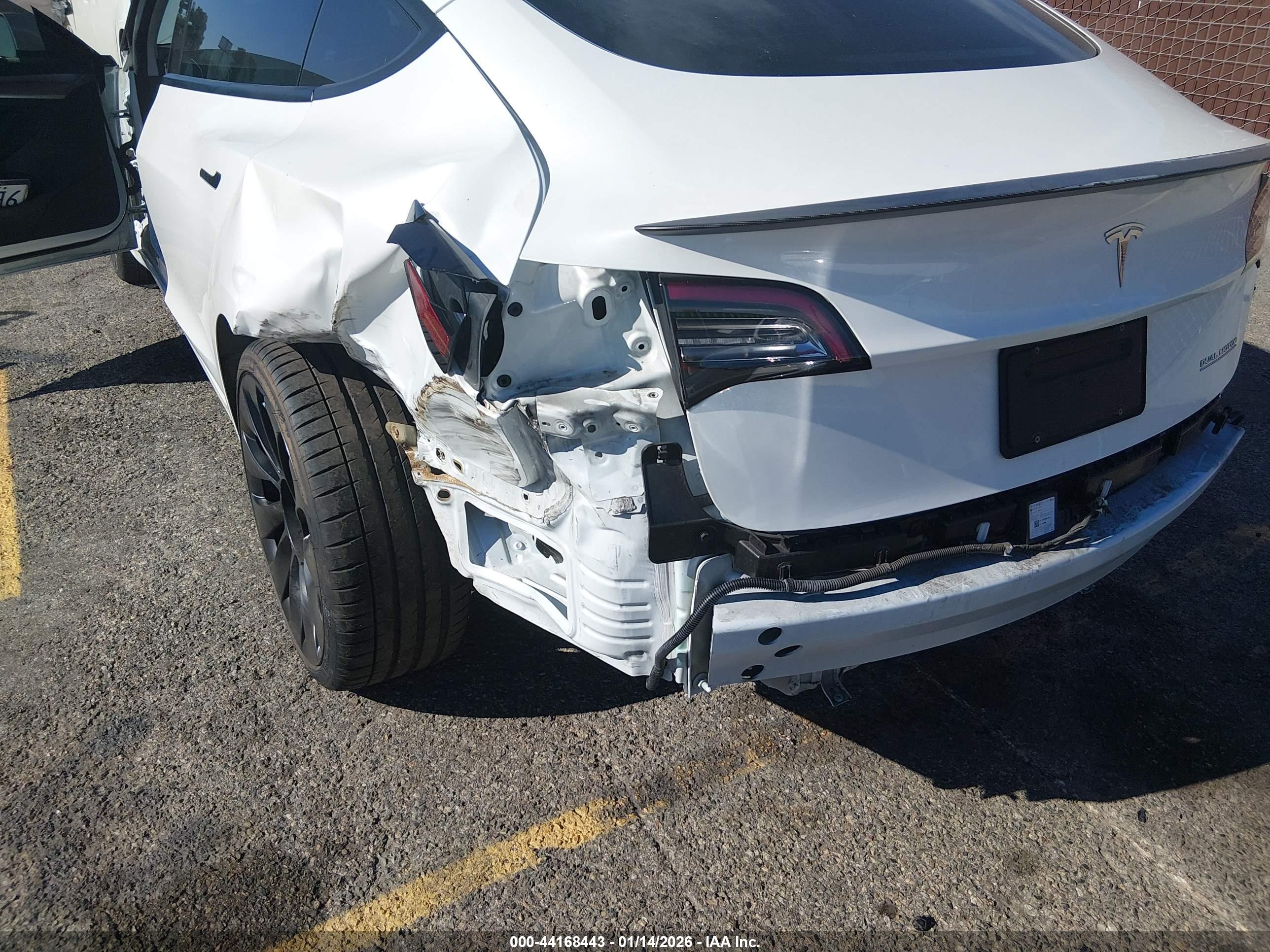 TESLA MODEL image 6