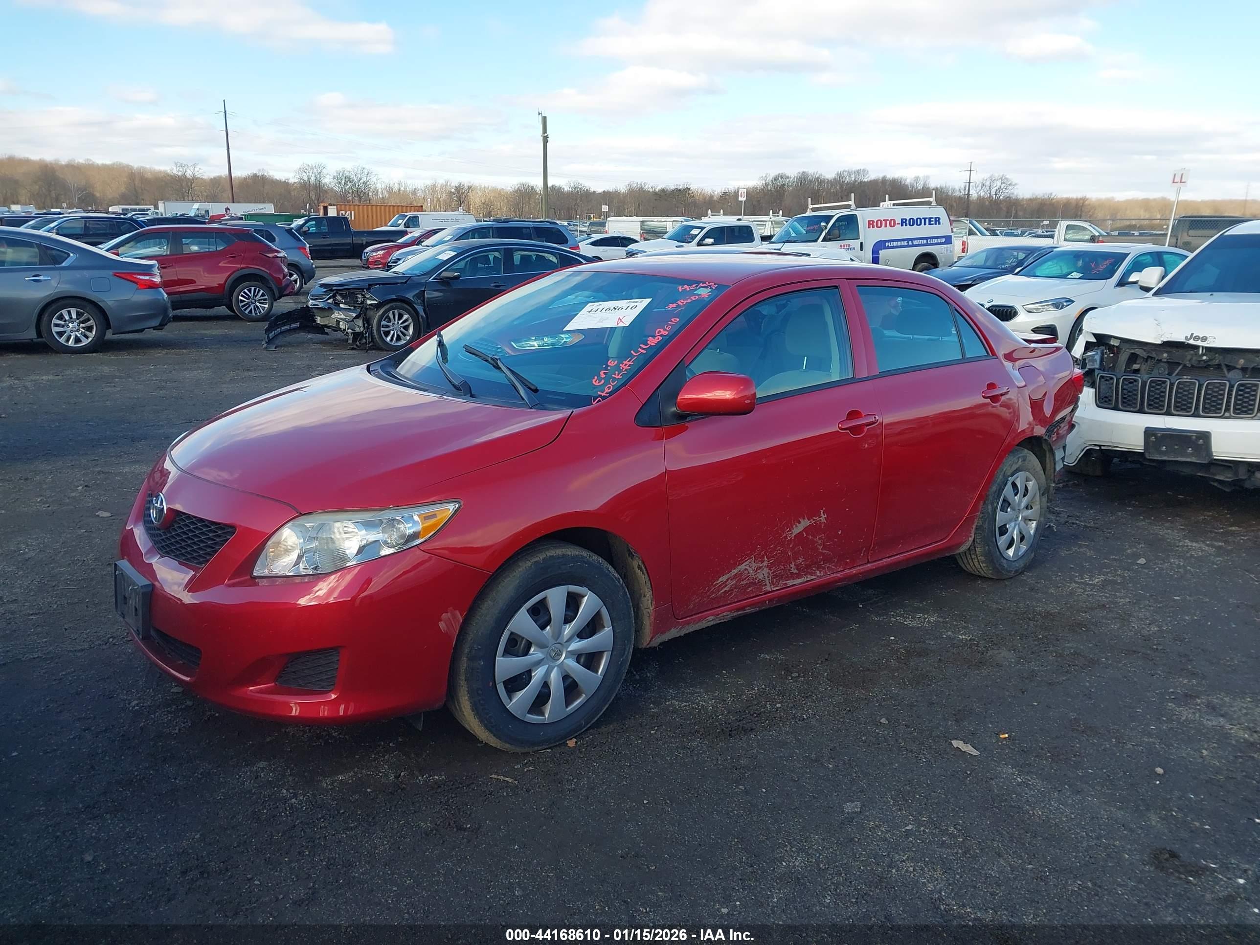 TOYOTA COROLLA image 2