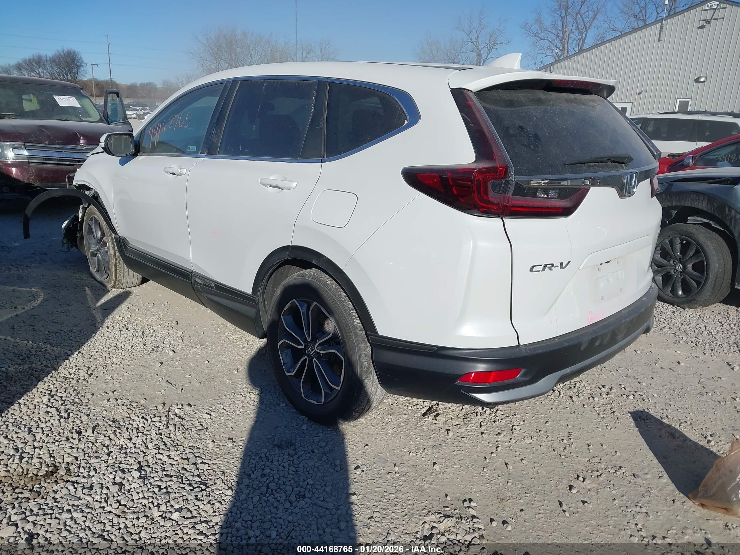 HONDA CR-V image 3