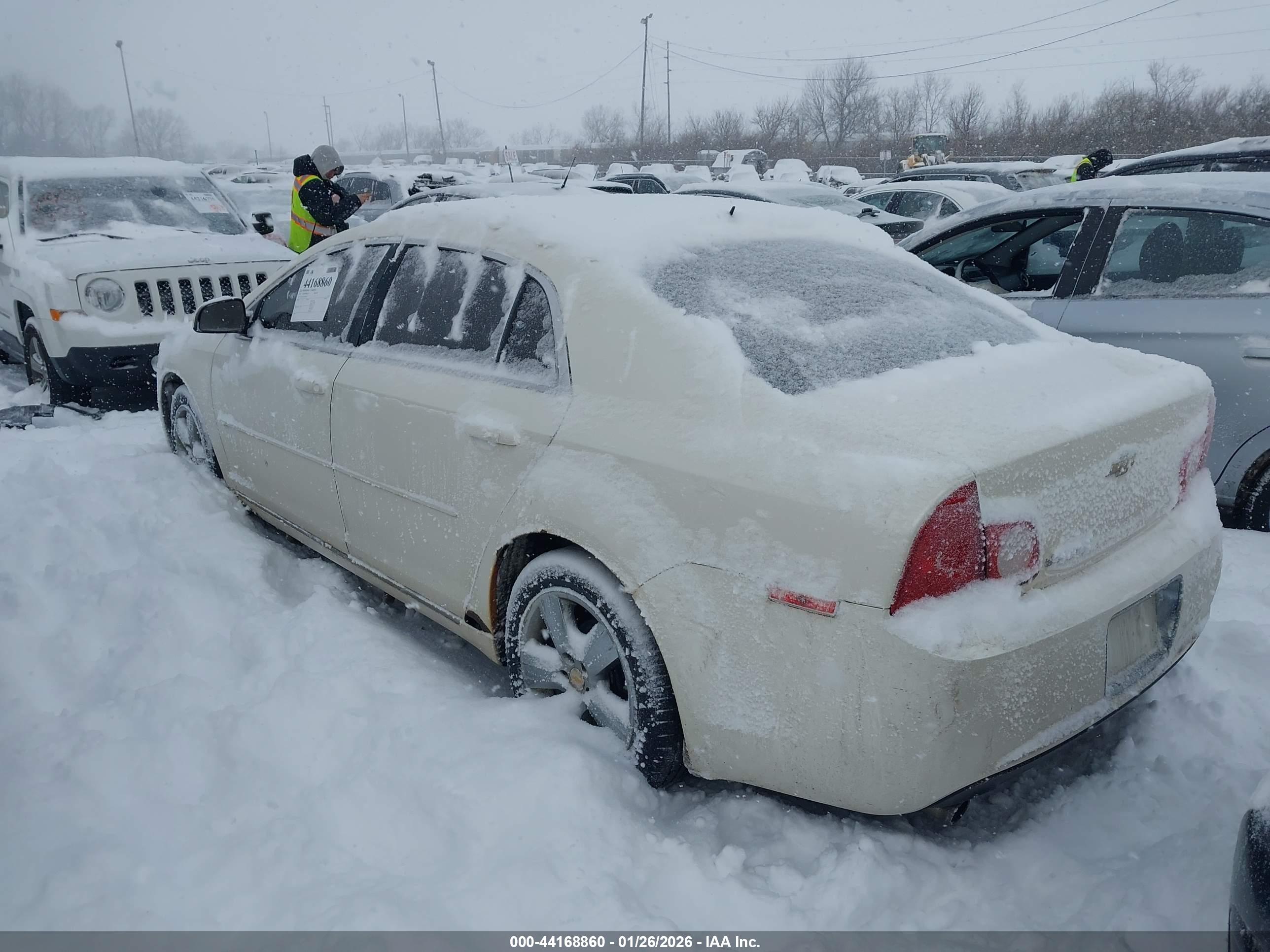 CHEVROLET MALIBU image 3