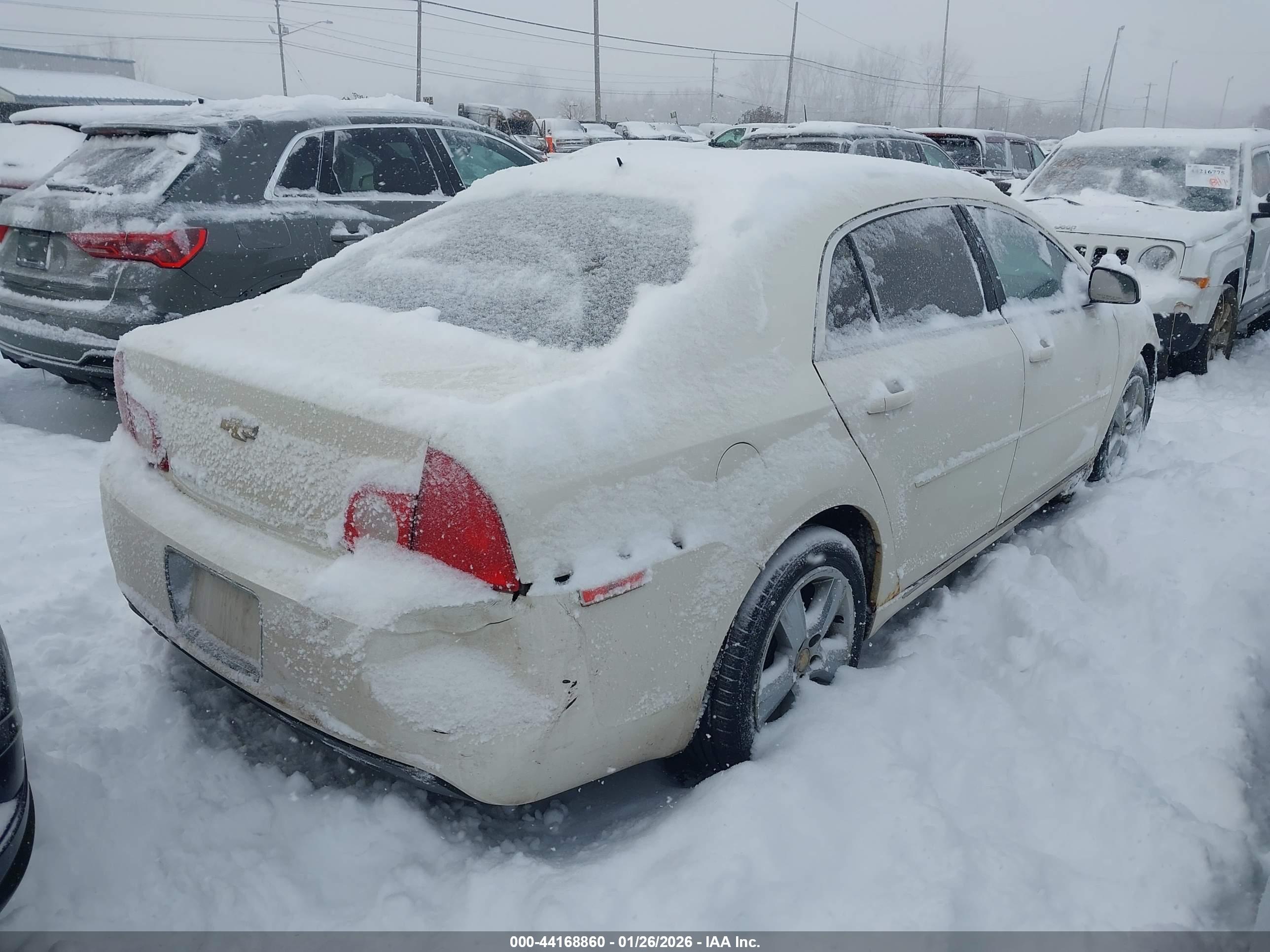 CHEVROLET MALIBU image 4