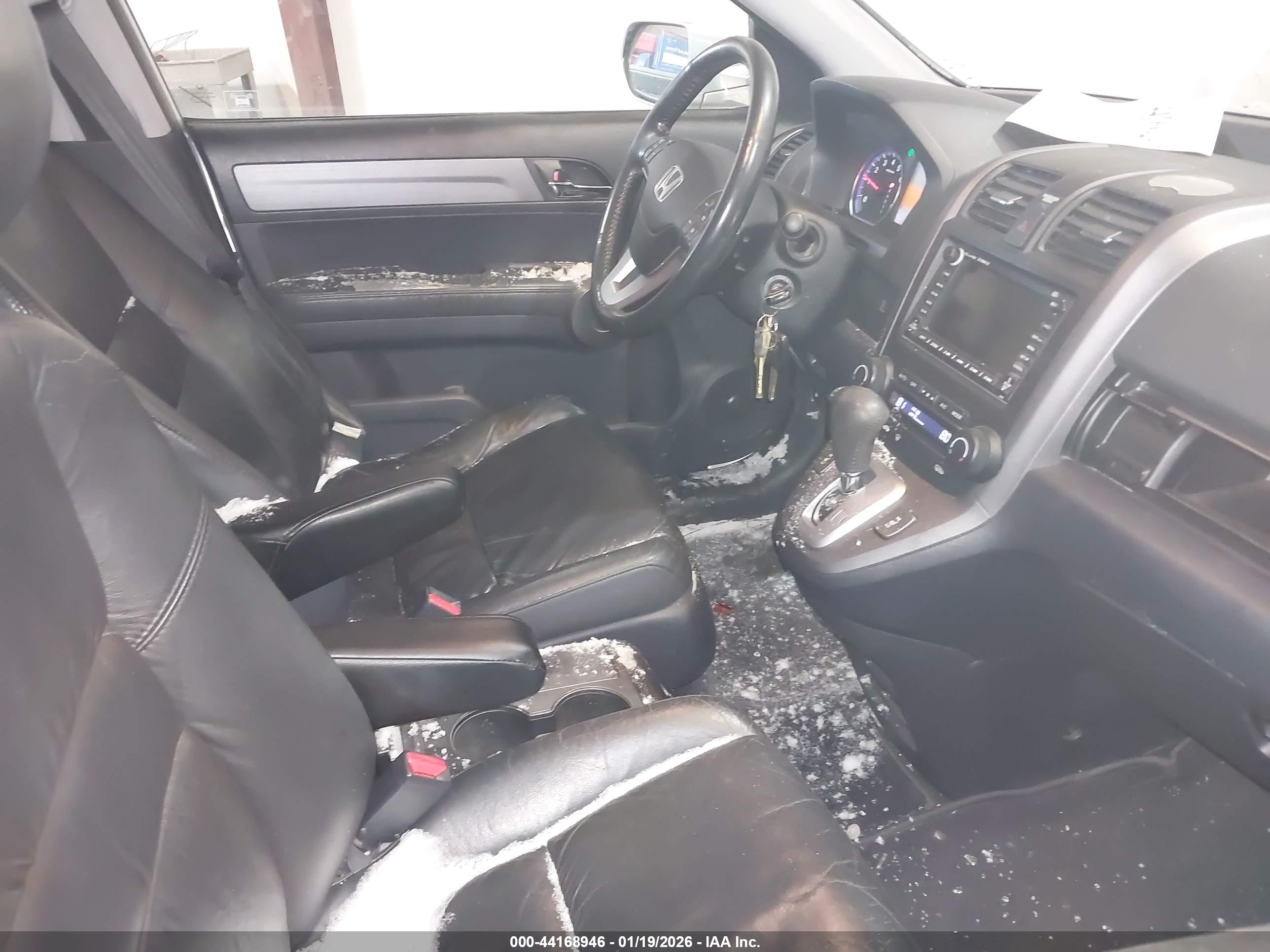 HONDA CR-V image 5