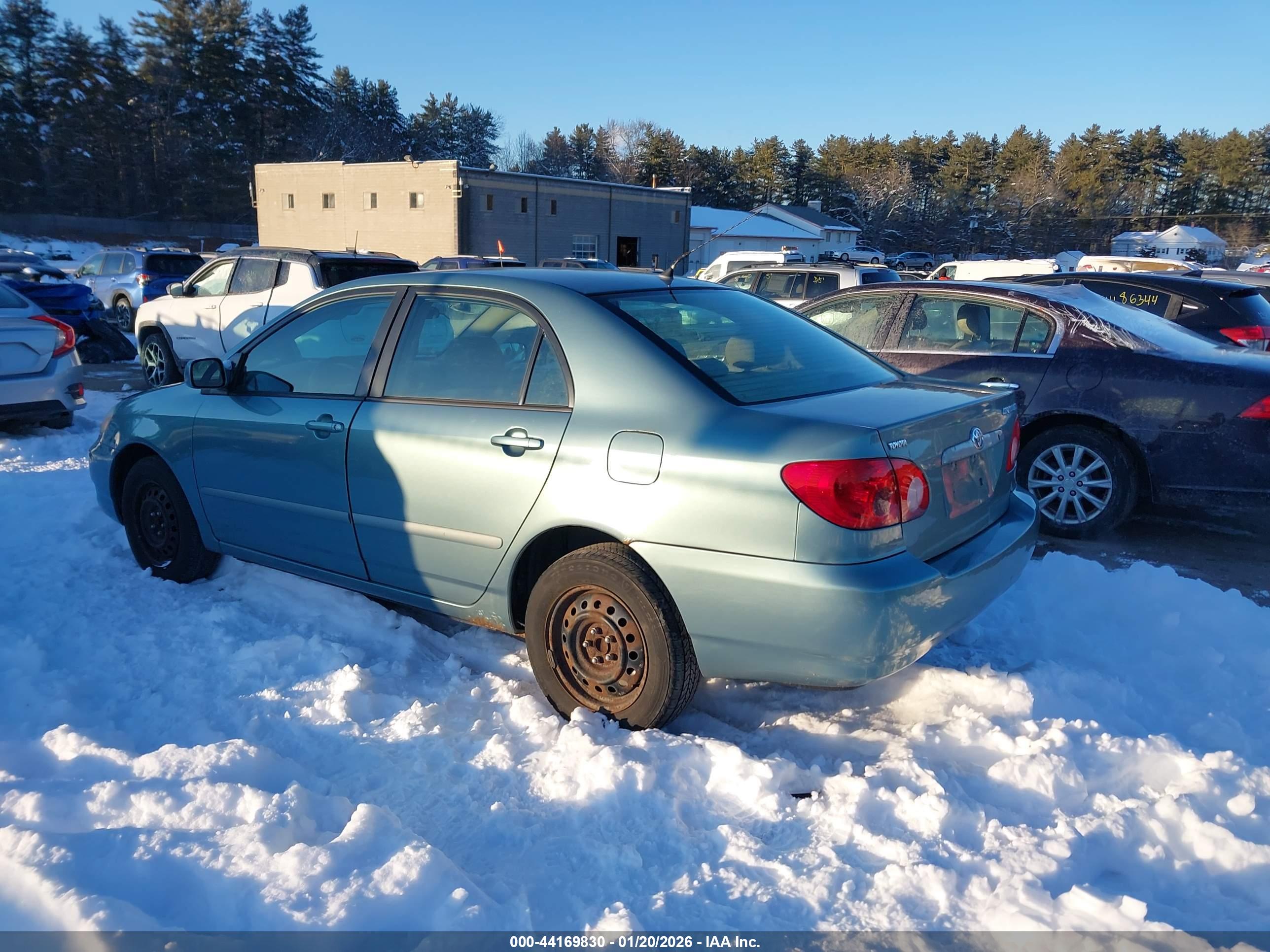 TOYOTA COROLLA image 3