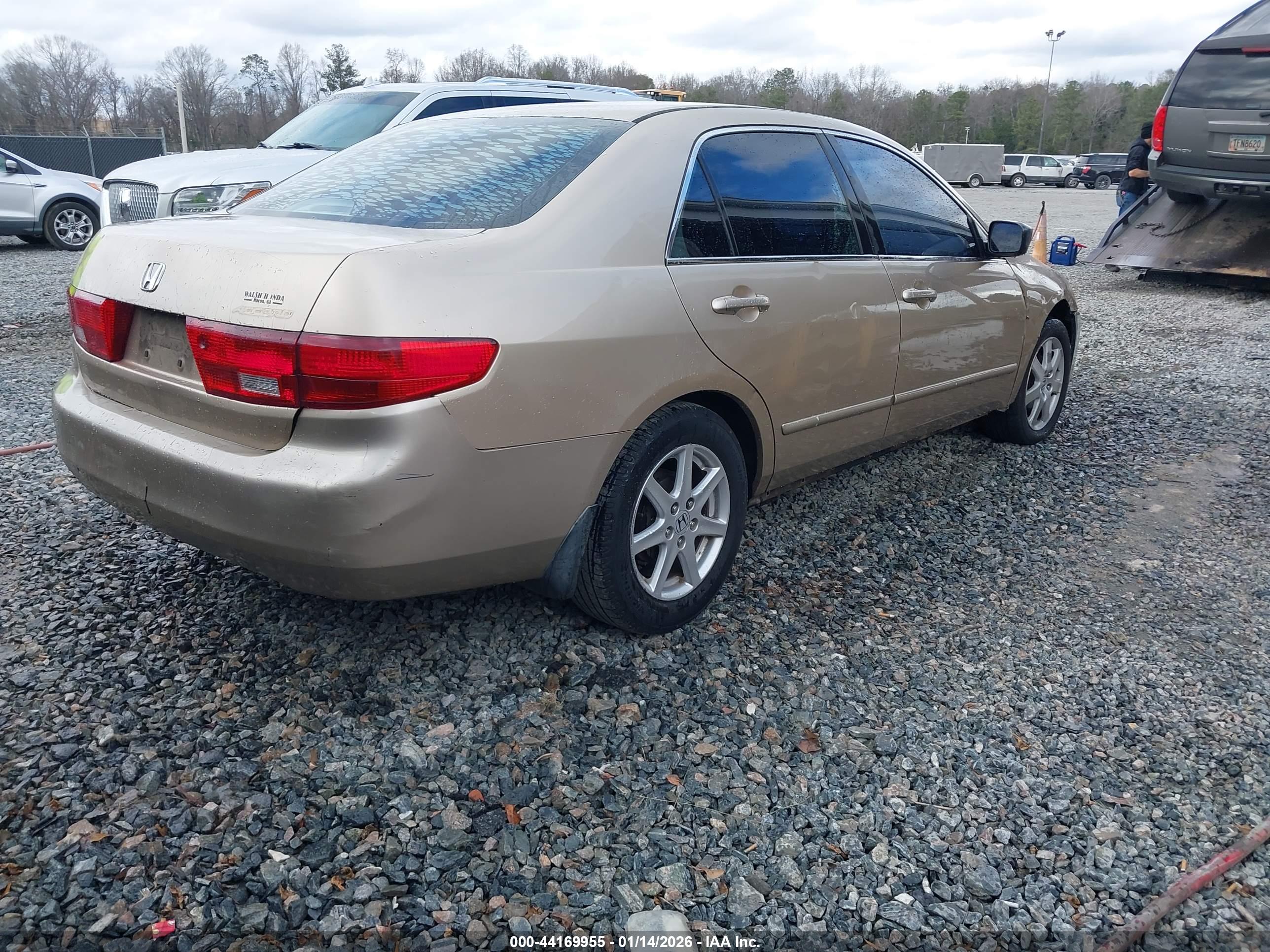 HONDA ACCORD image 4