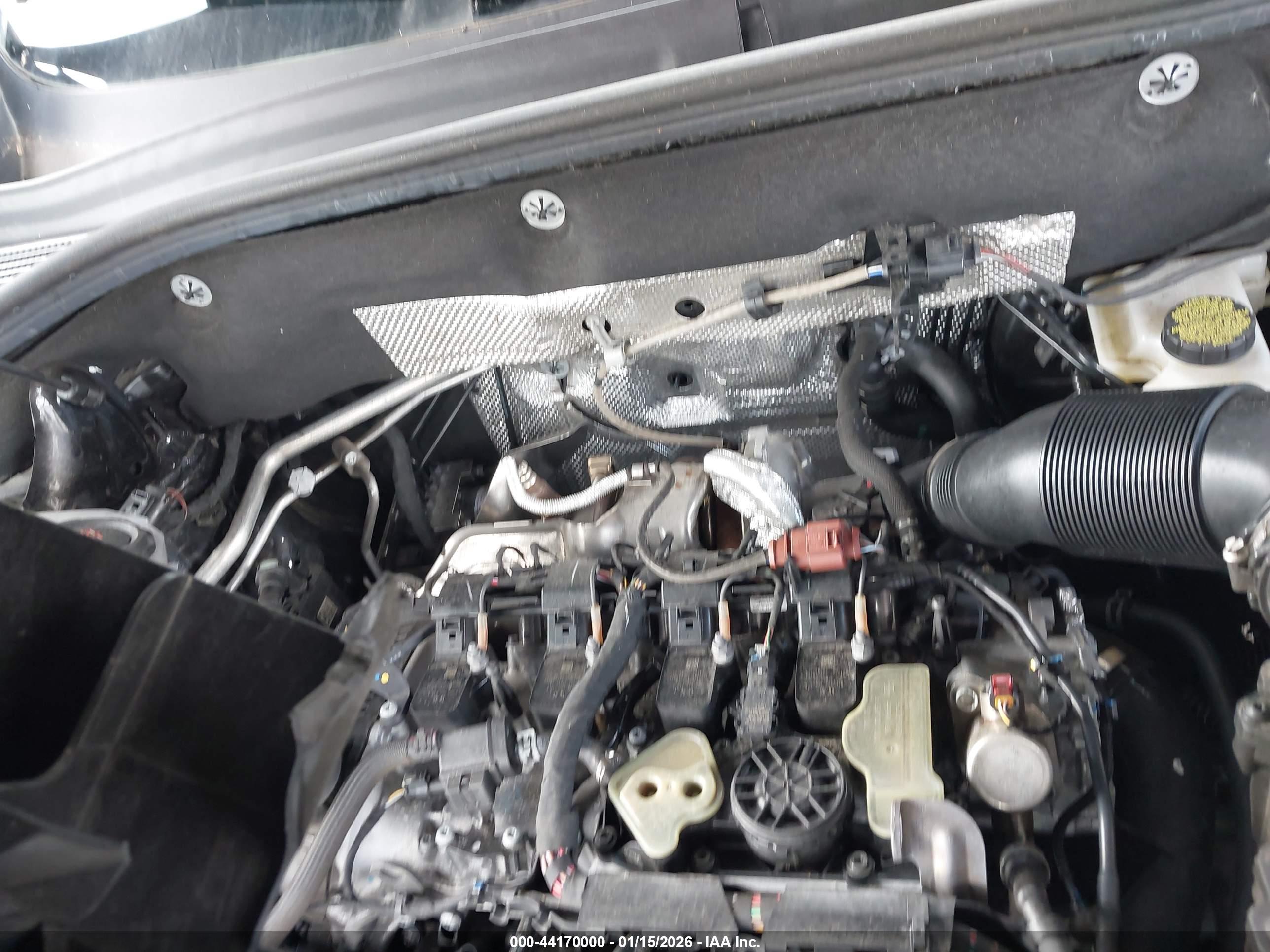 VOLKSWAGEN ATLAS image 10
