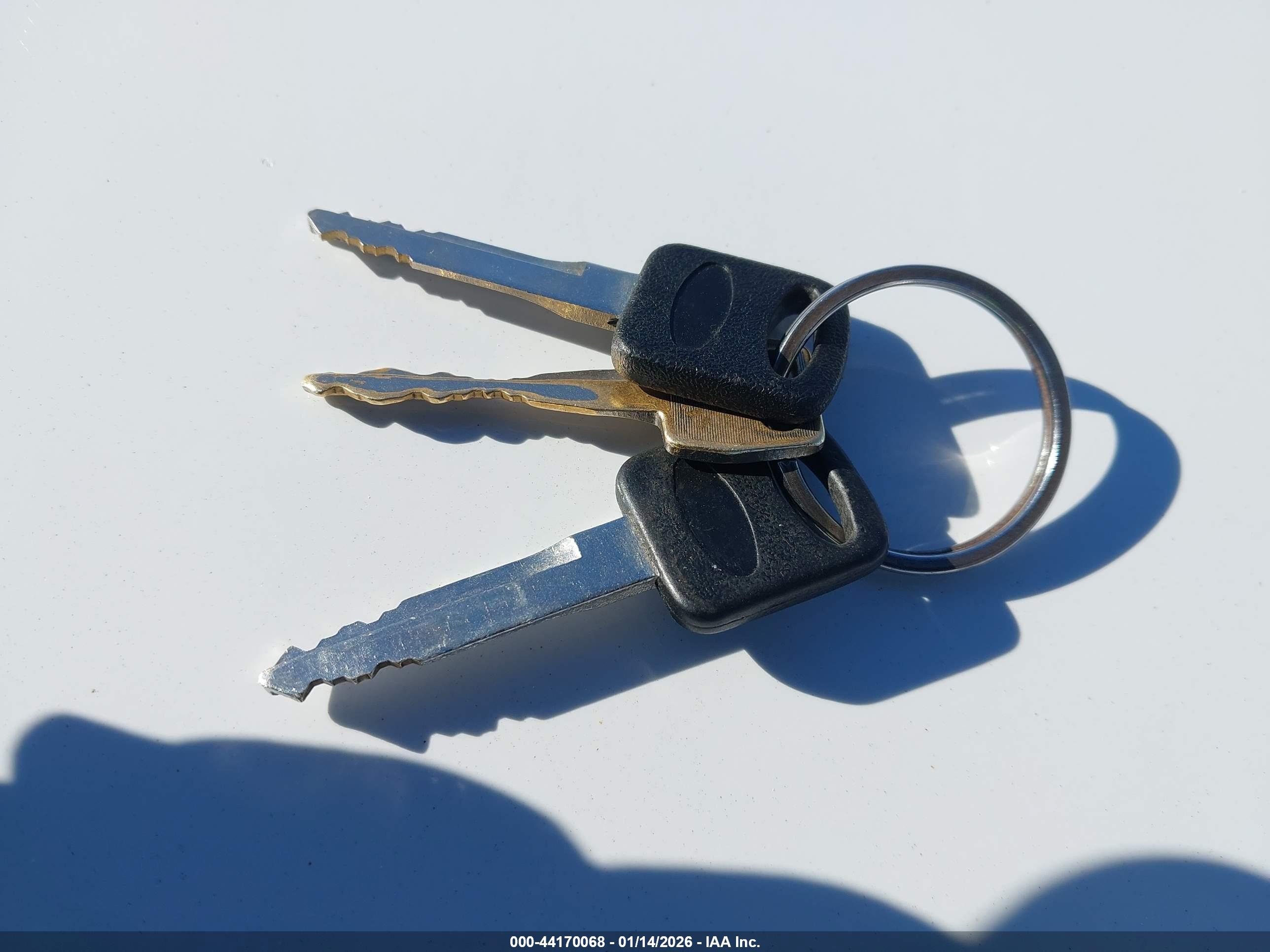 FORD RANGER image 11