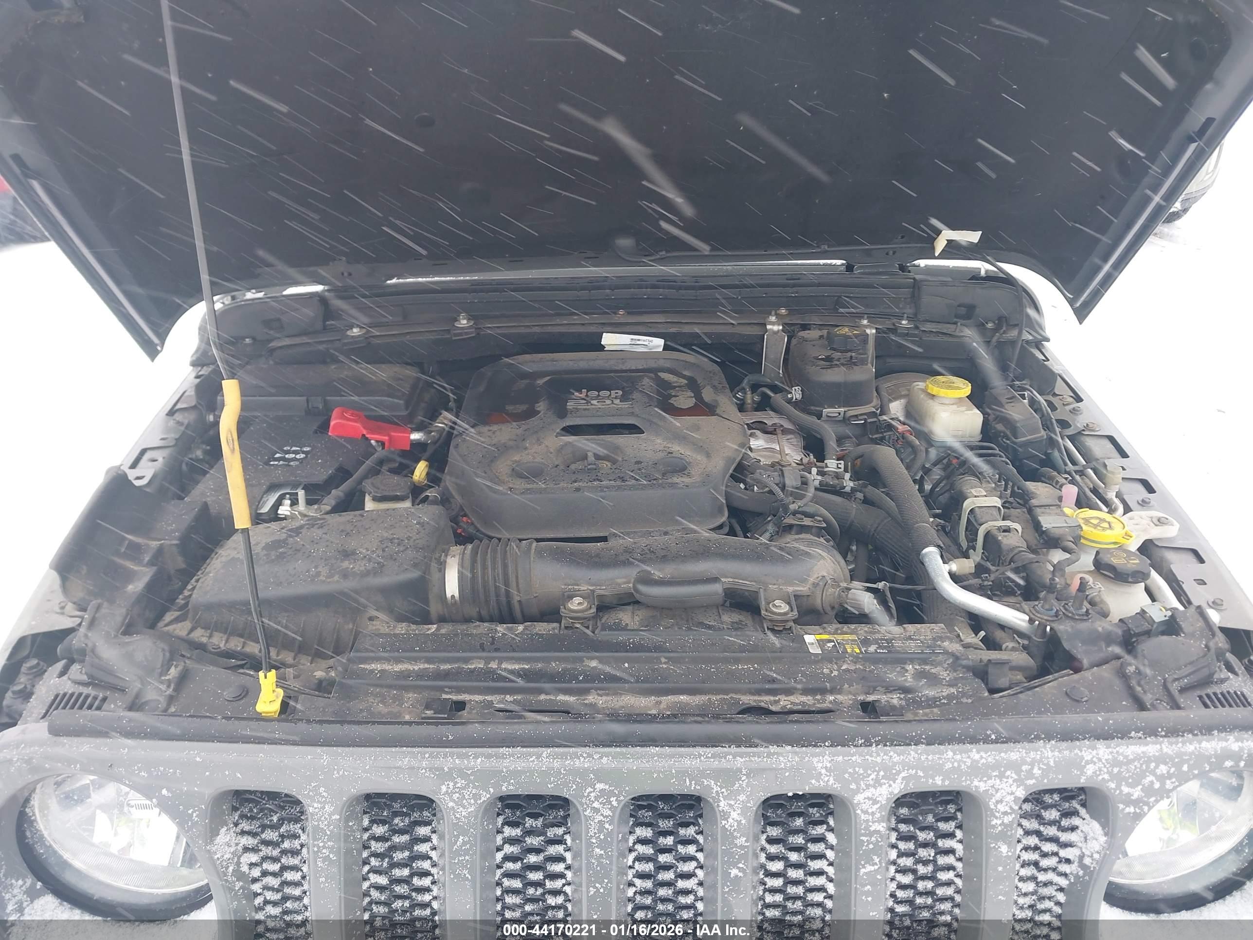 JEEP WRANGLER image 10