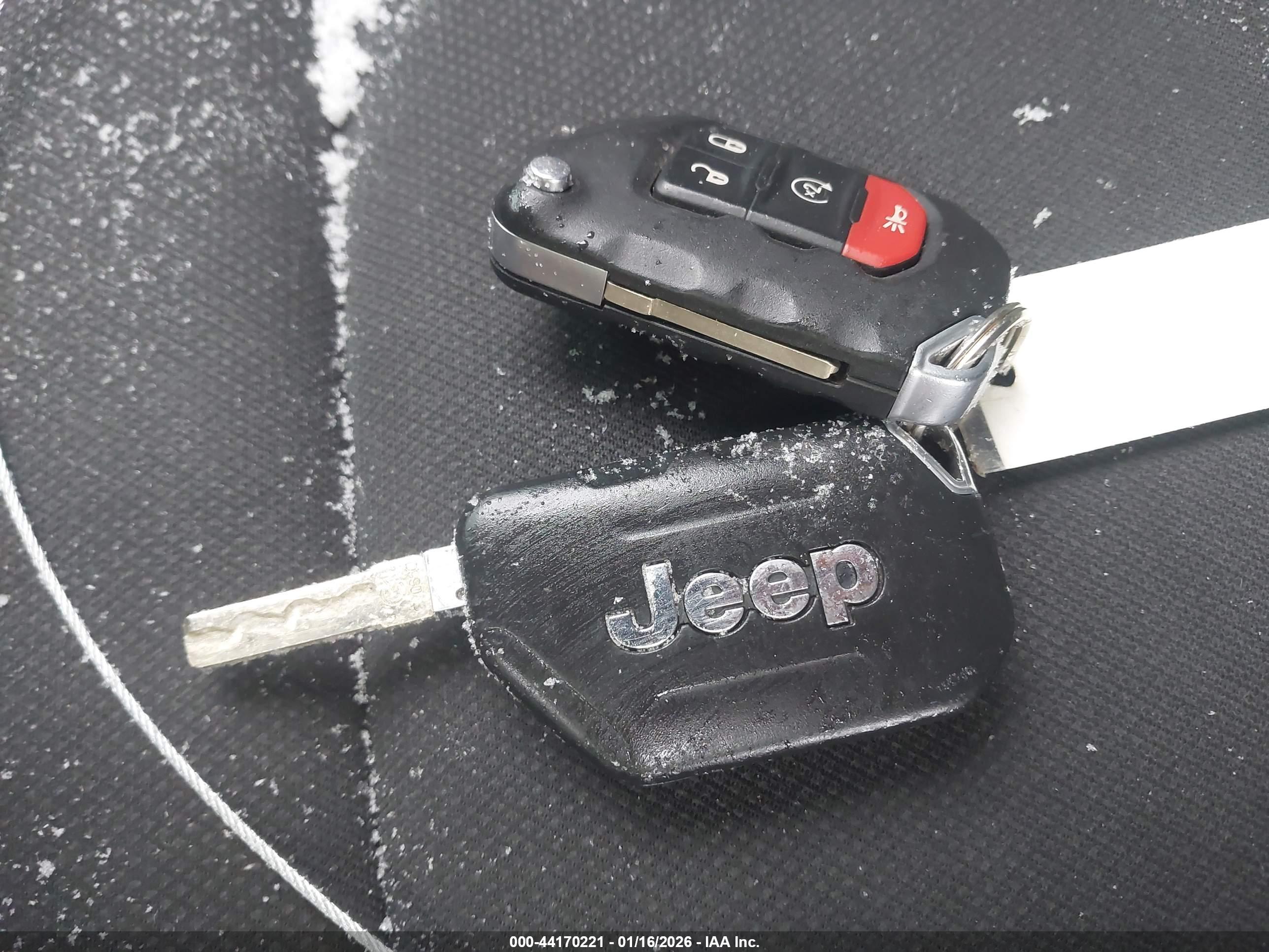 JEEP WRANGLER image 11