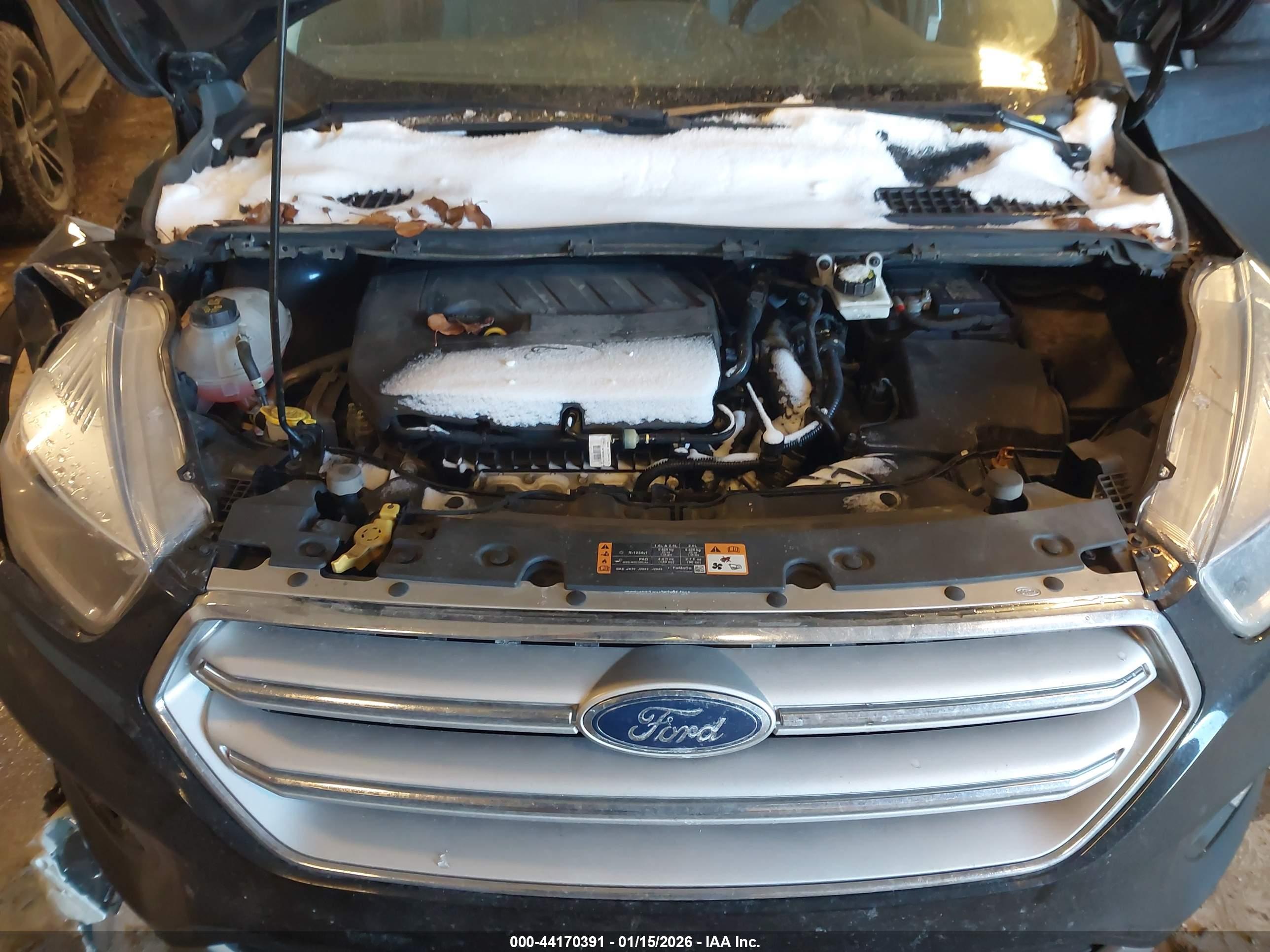 FORD ESCAPE image 10