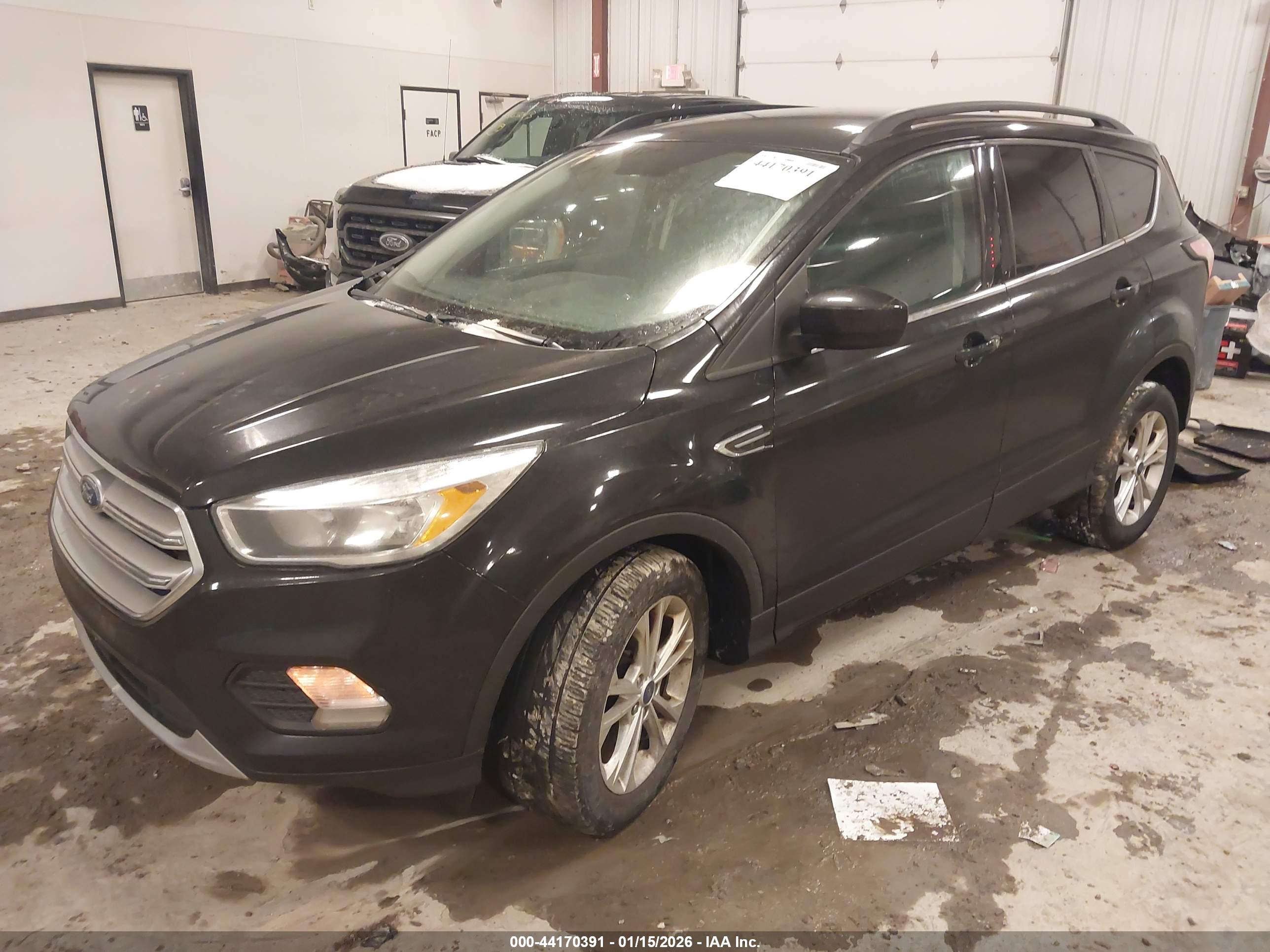 FORD ESCAPE image 2