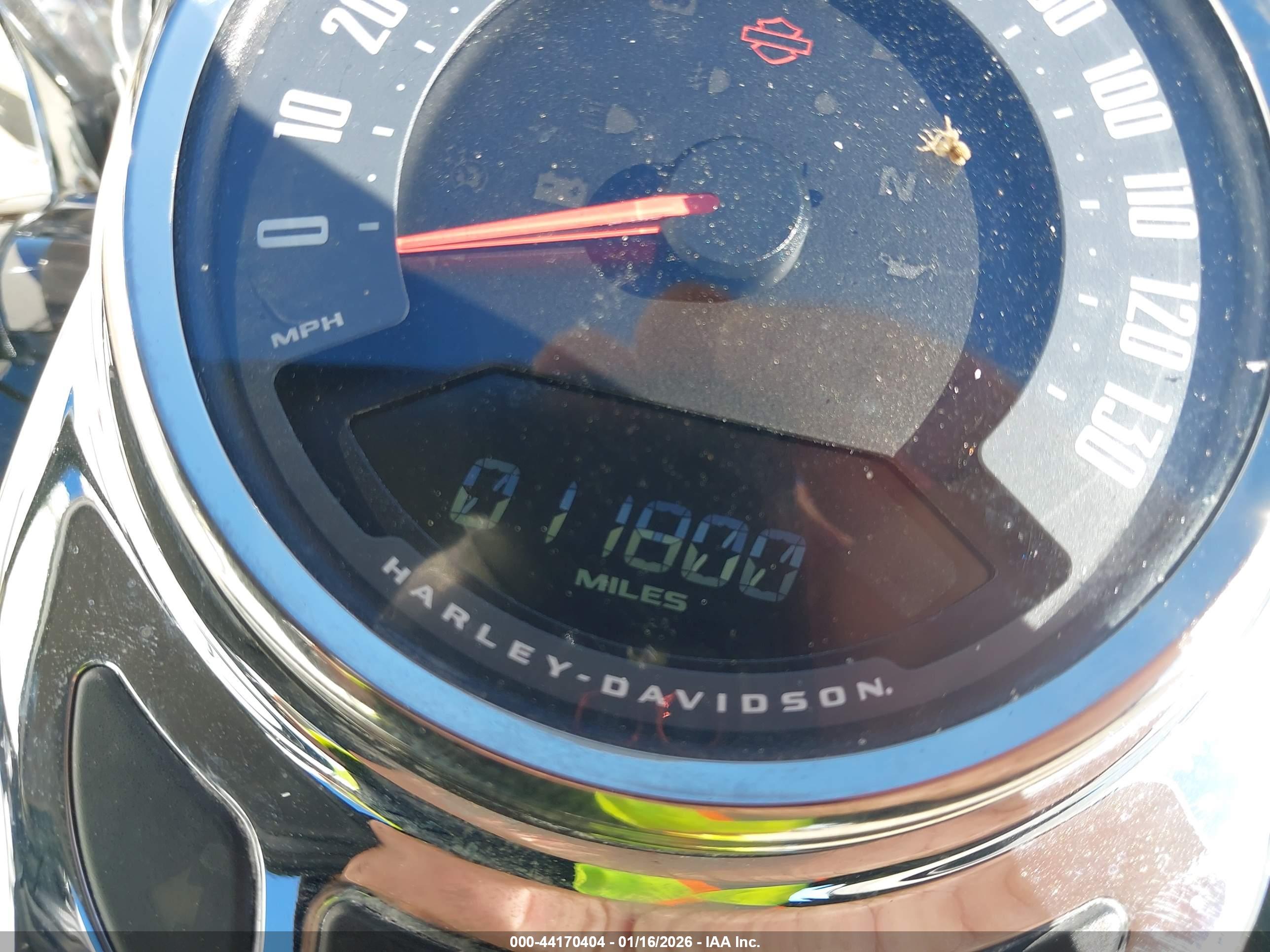 HARLEY-DAVIDSON FLHCS image 7