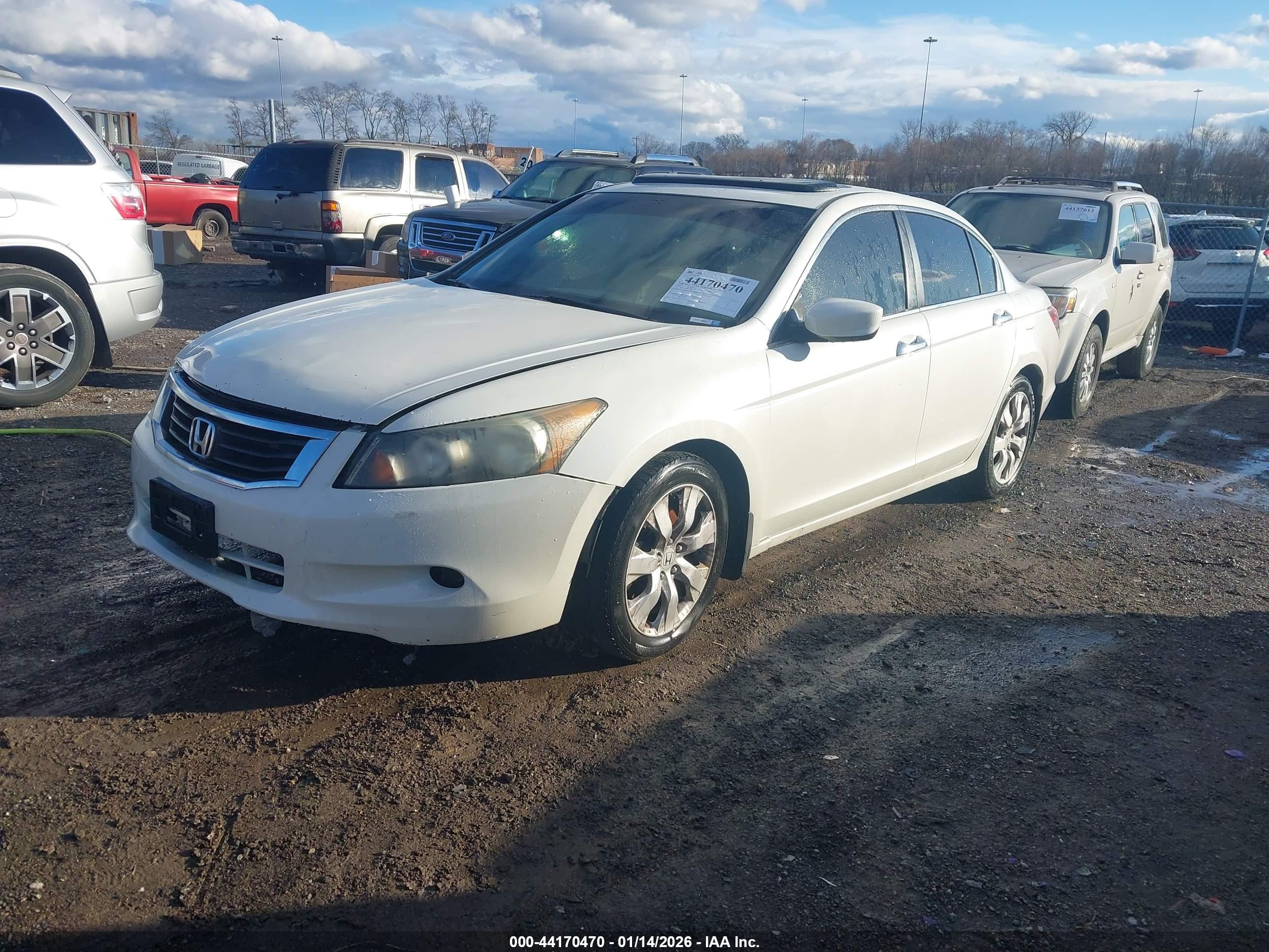 HONDA ACCORD image 2