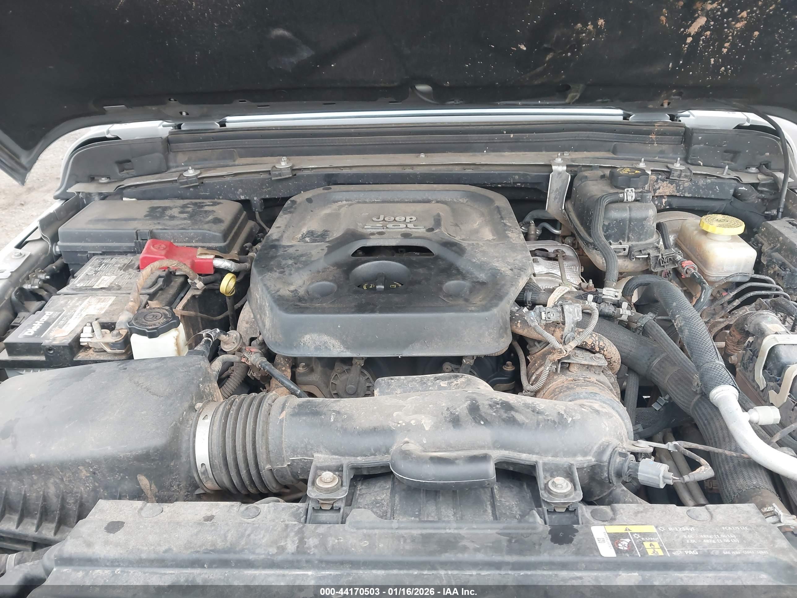 JEEP WRANGLER image 10
