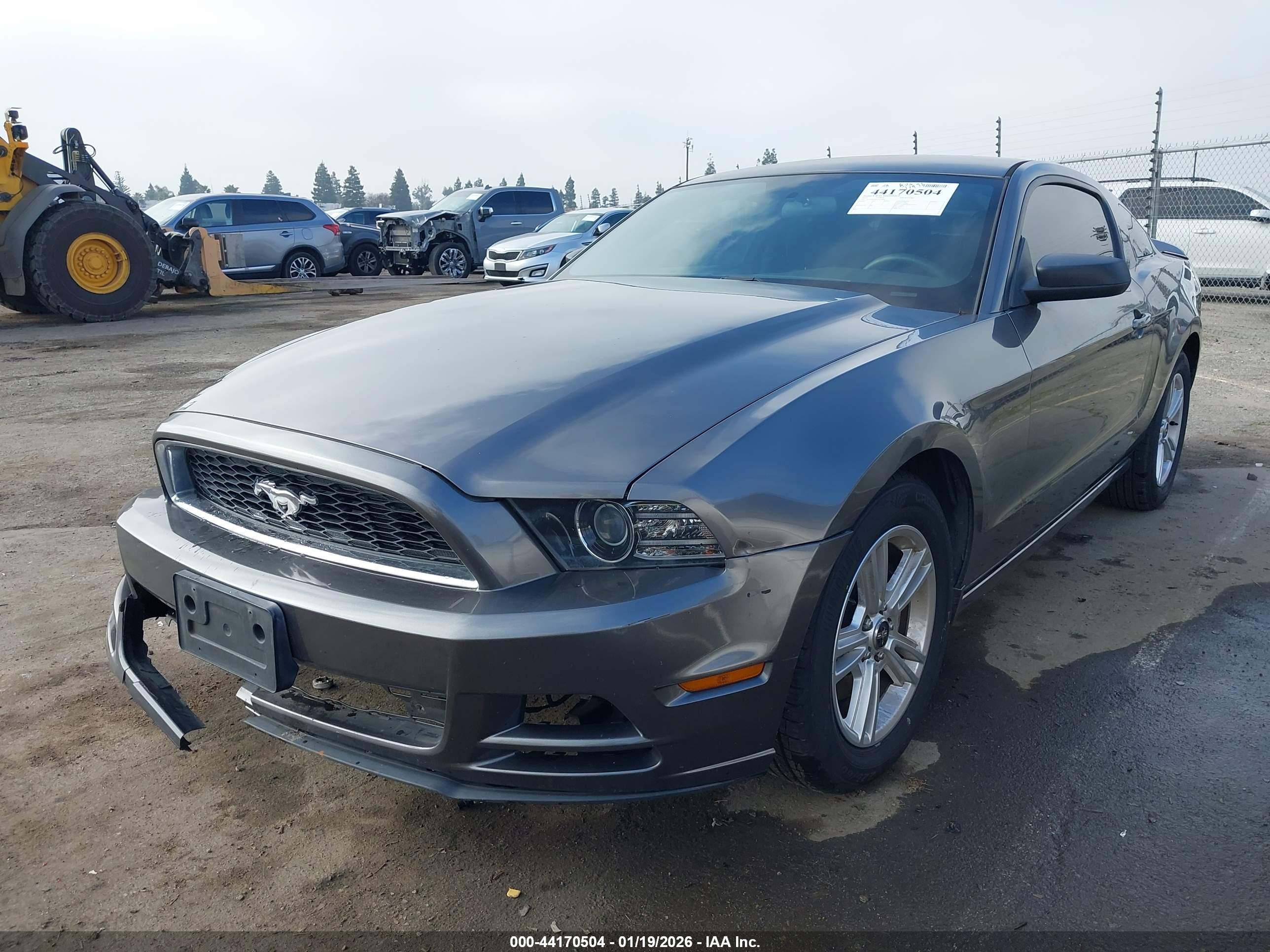 FORD MUSTANG image 2
