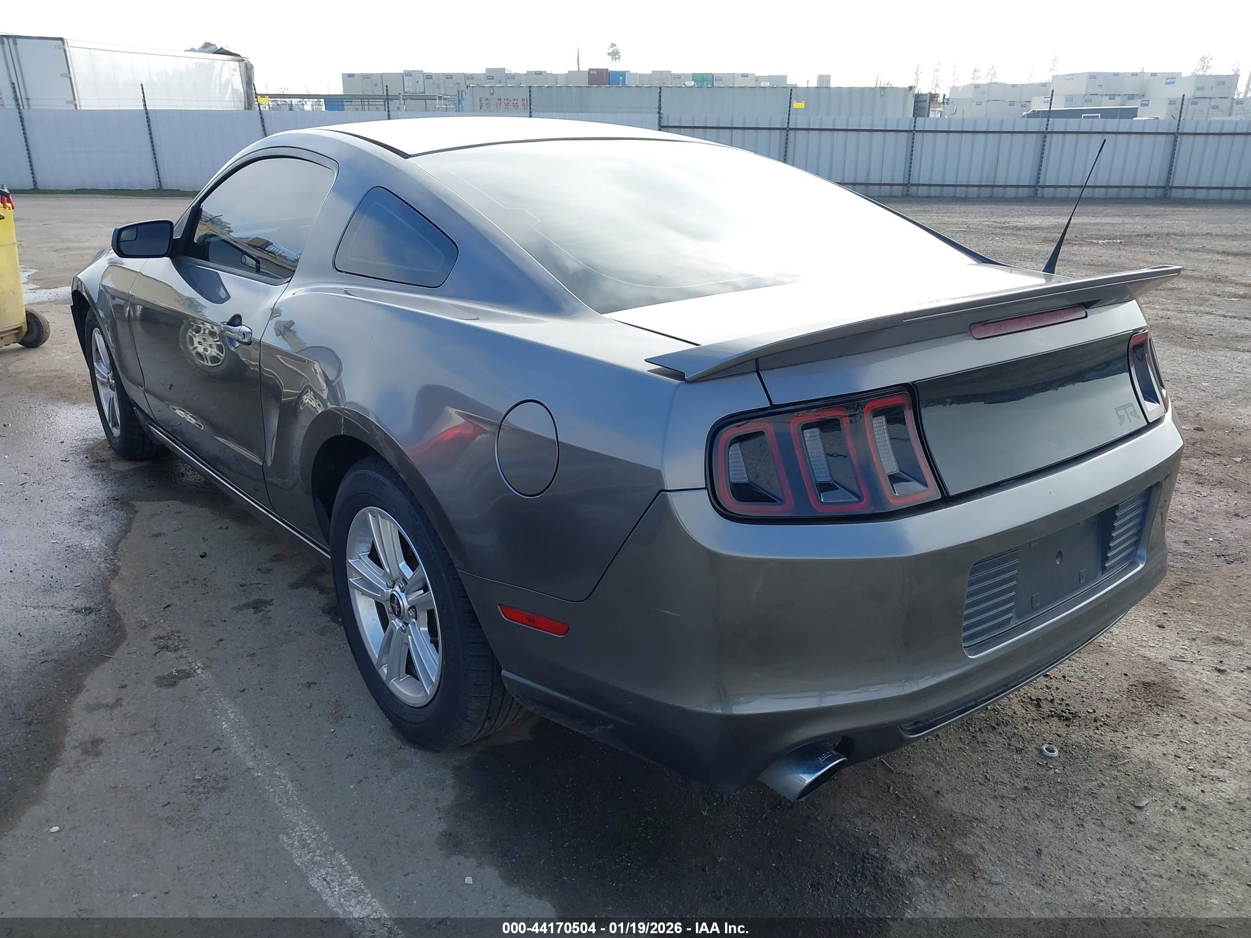 FORD MUSTANG image 3