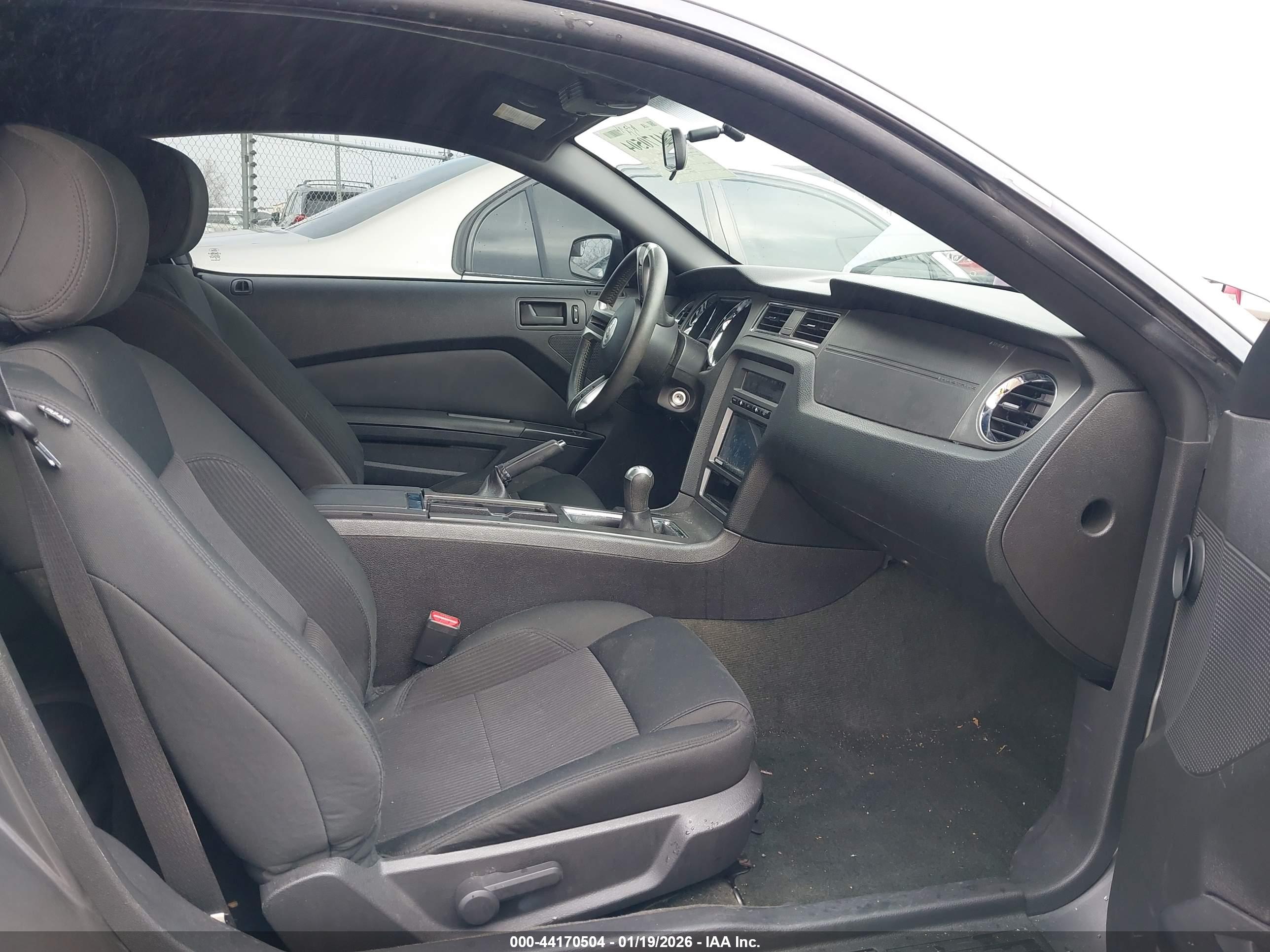 FORD MUSTANG image 5