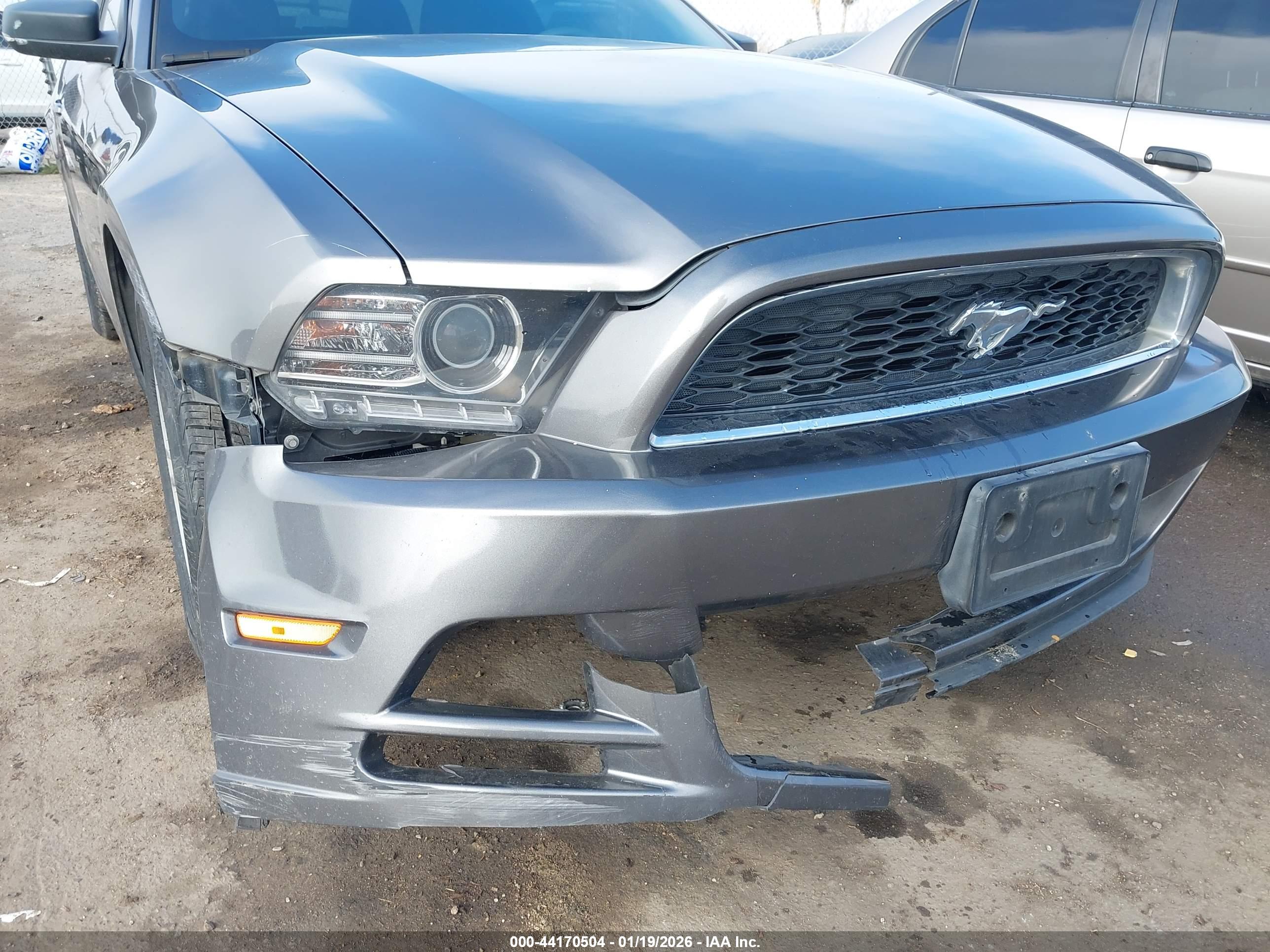FORD MUSTANG image 6
