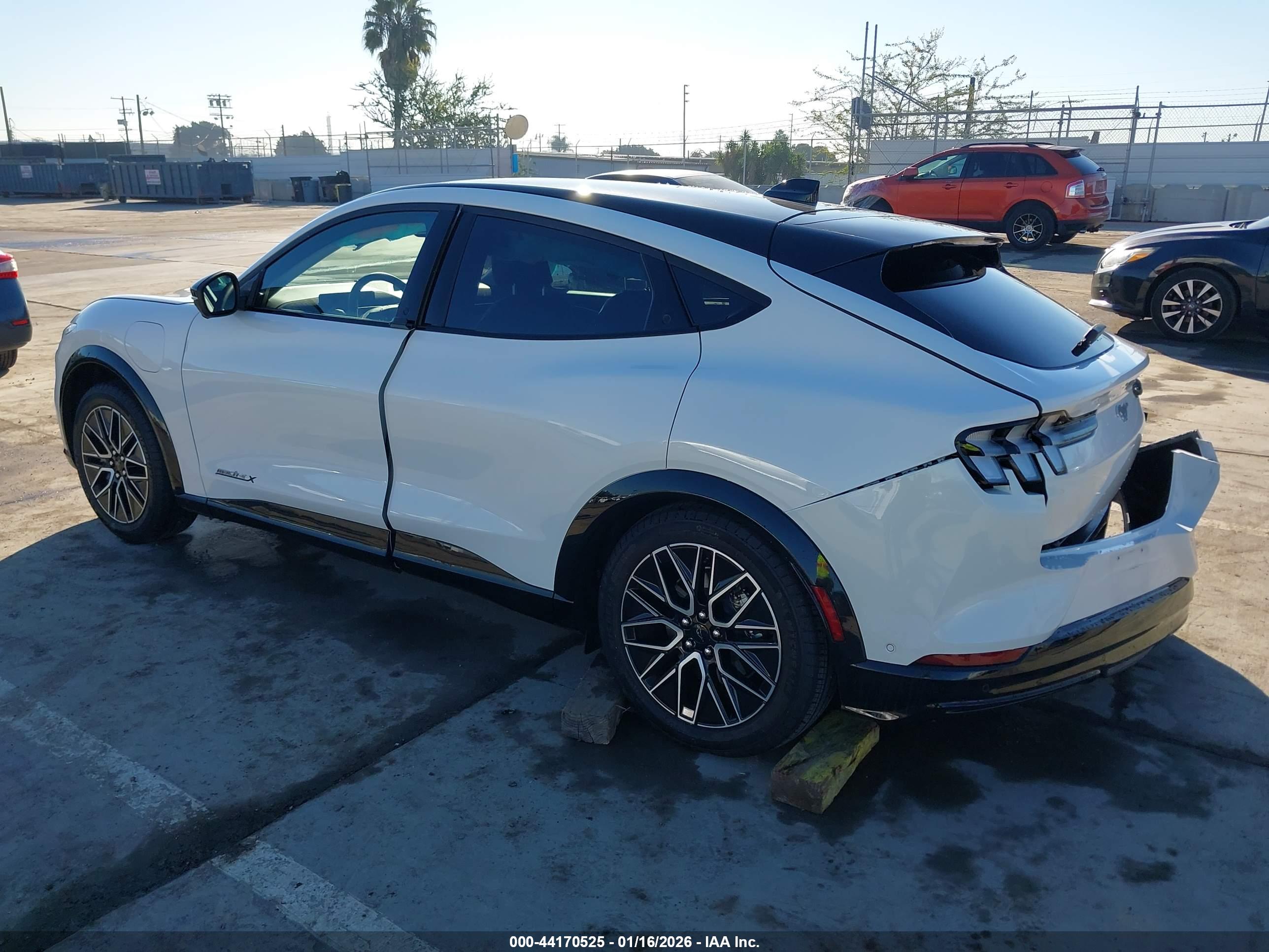 FORD MUSTANG image 3