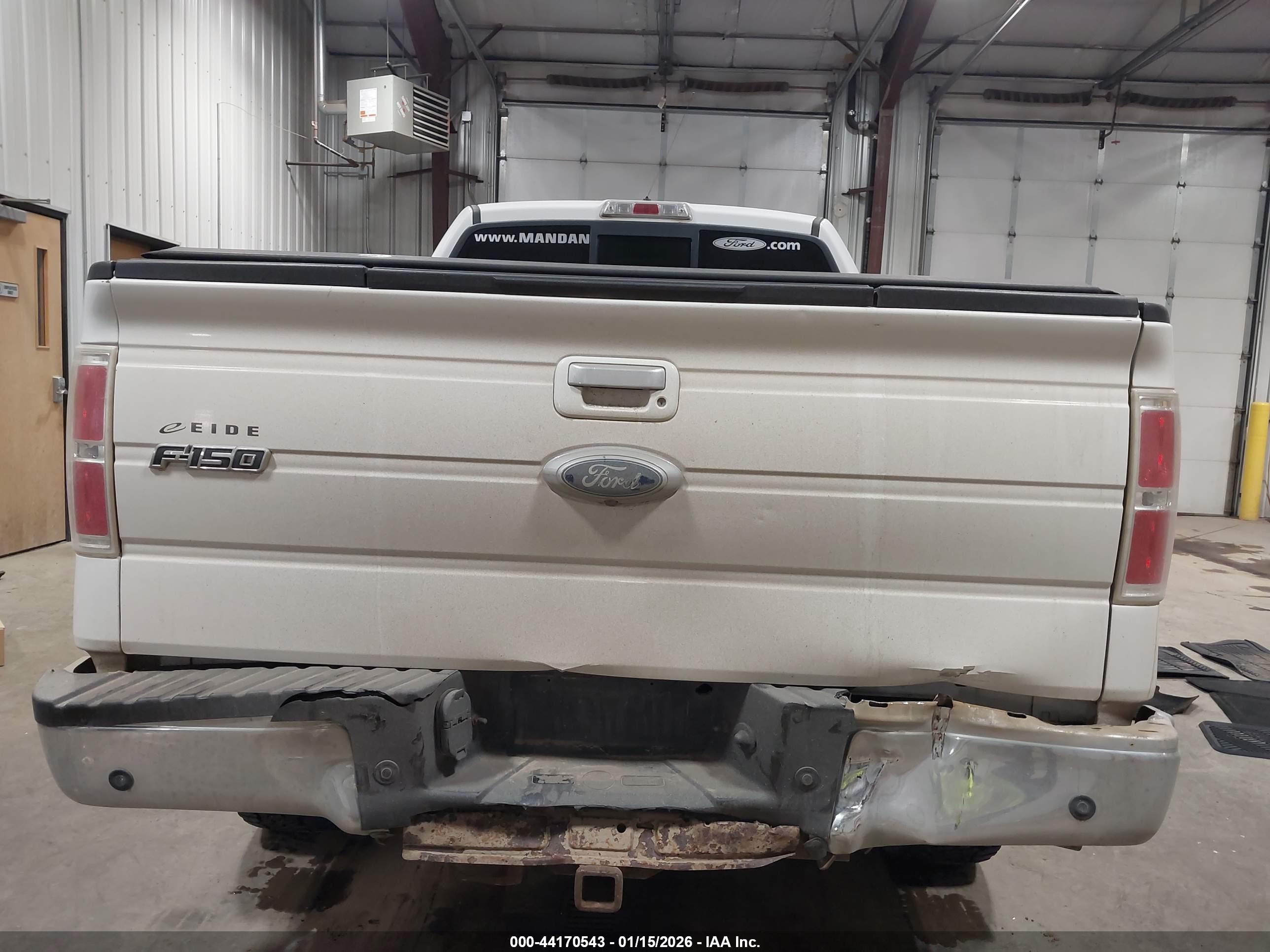 FORD F-150 image 6