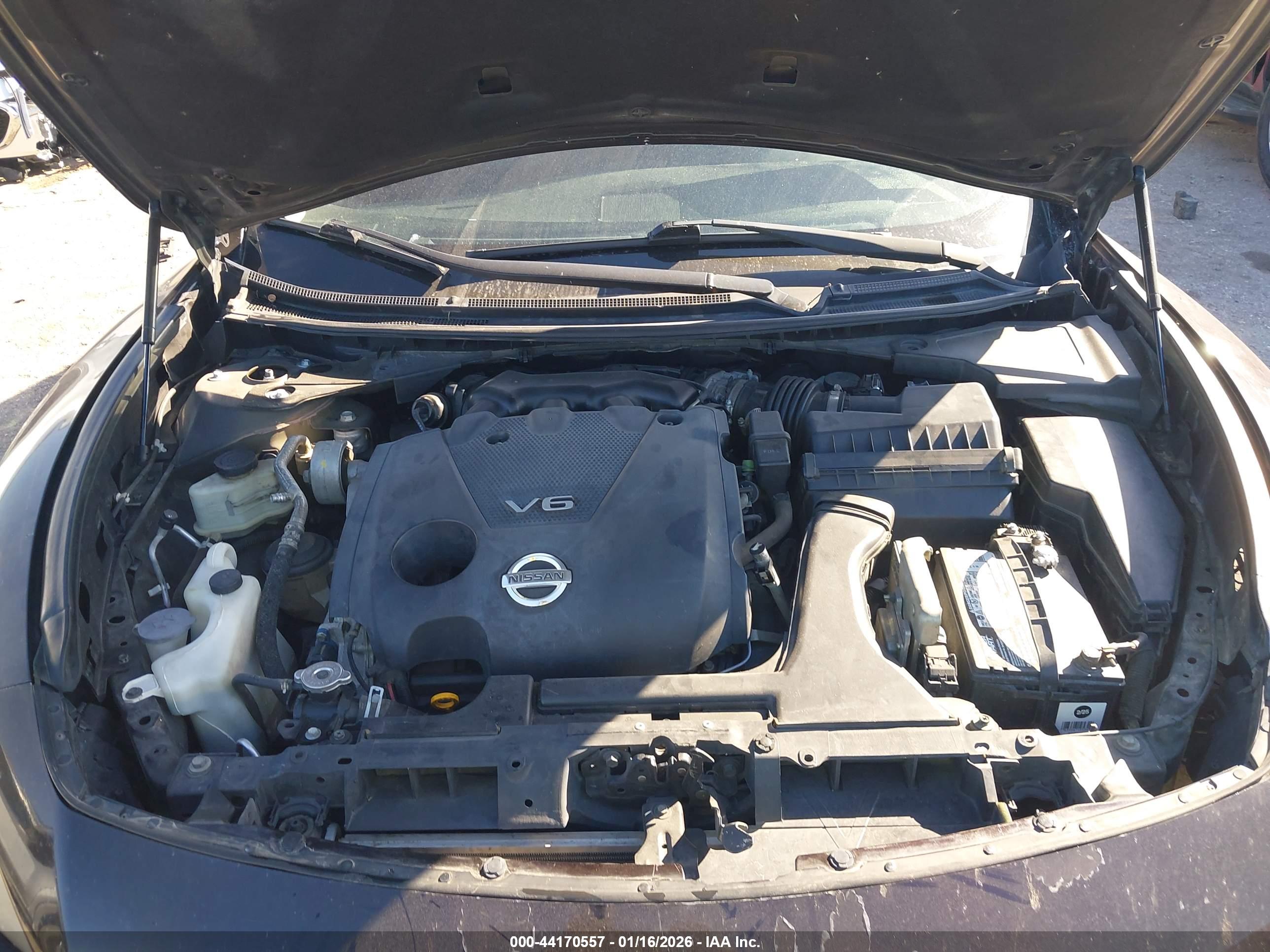 NISSAN MAXIMA image 10