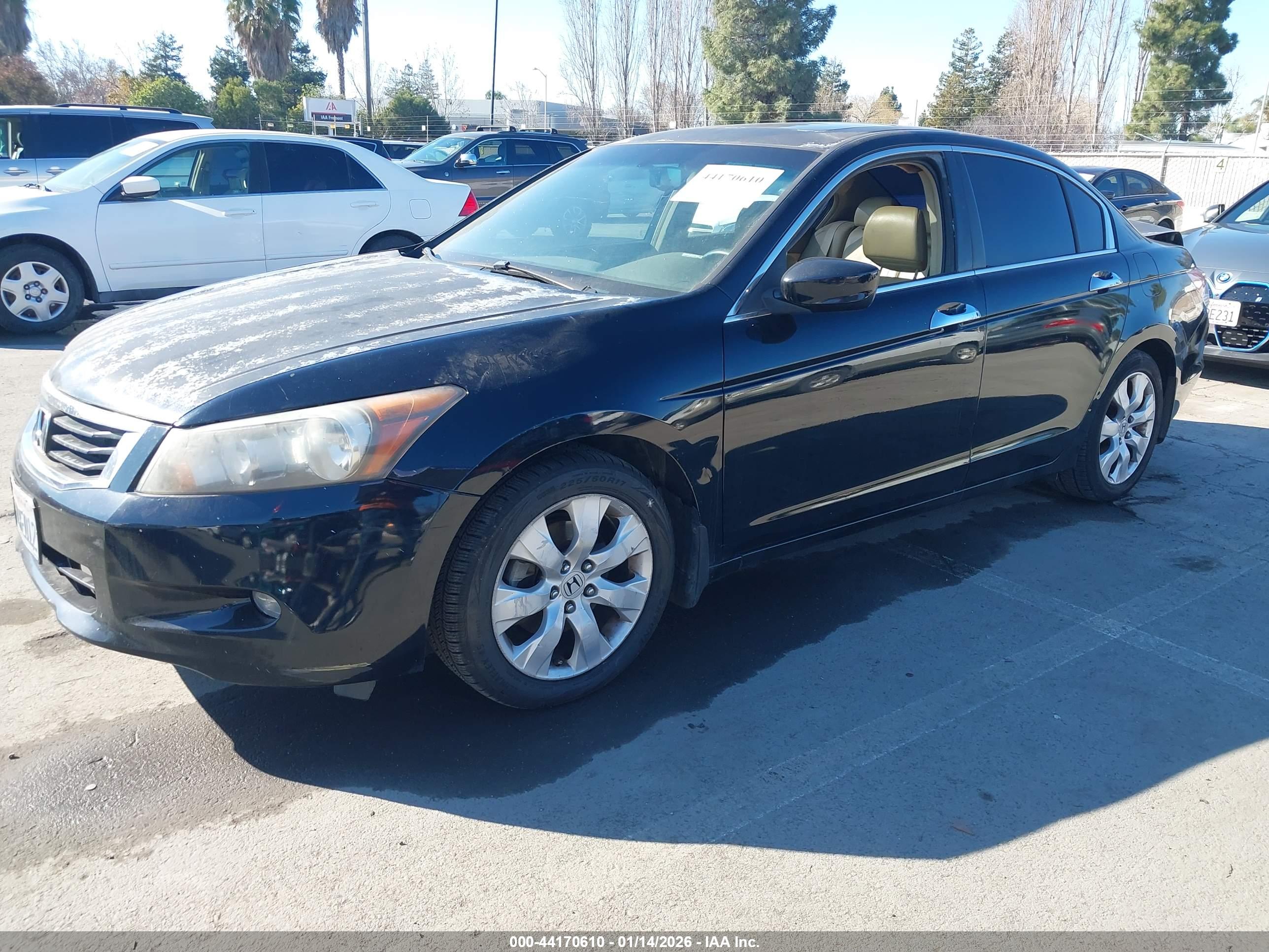 HONDA ACCORD image 2