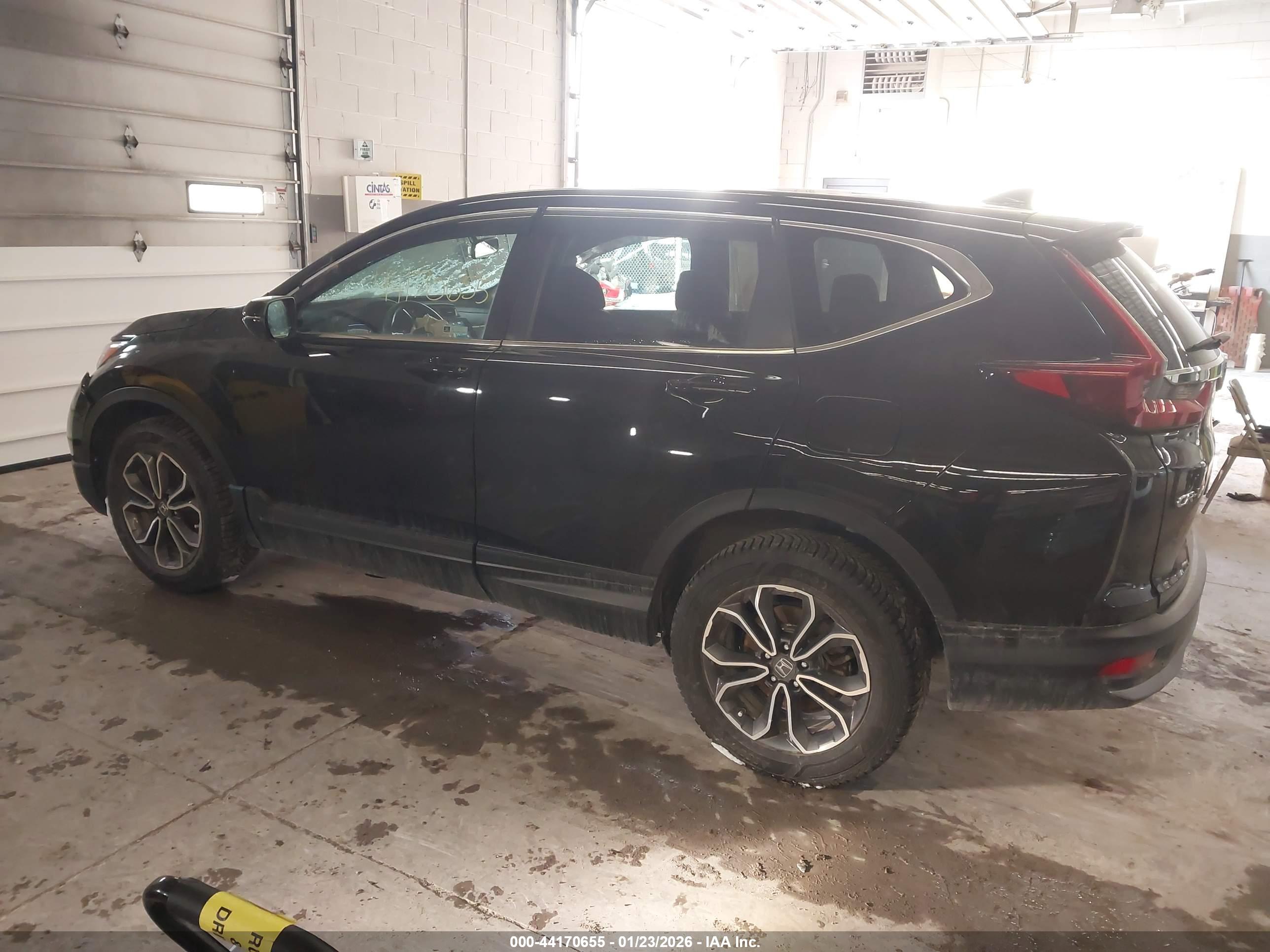 HONDA CR-V image 3