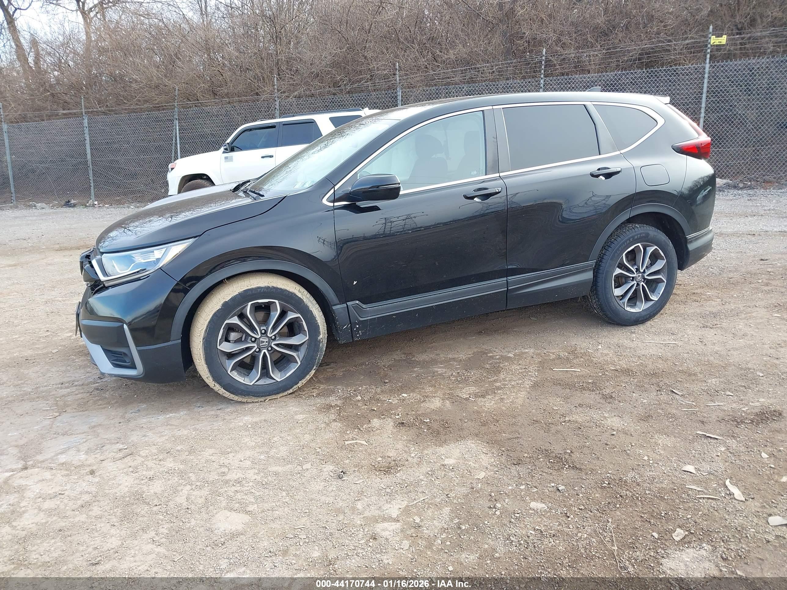 HONDA CR-V image 2