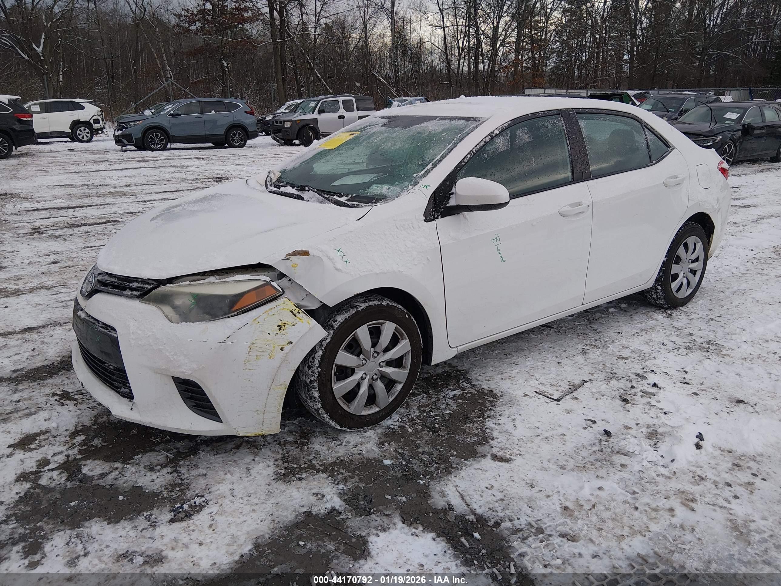 TOYOTA COROLLA image 2