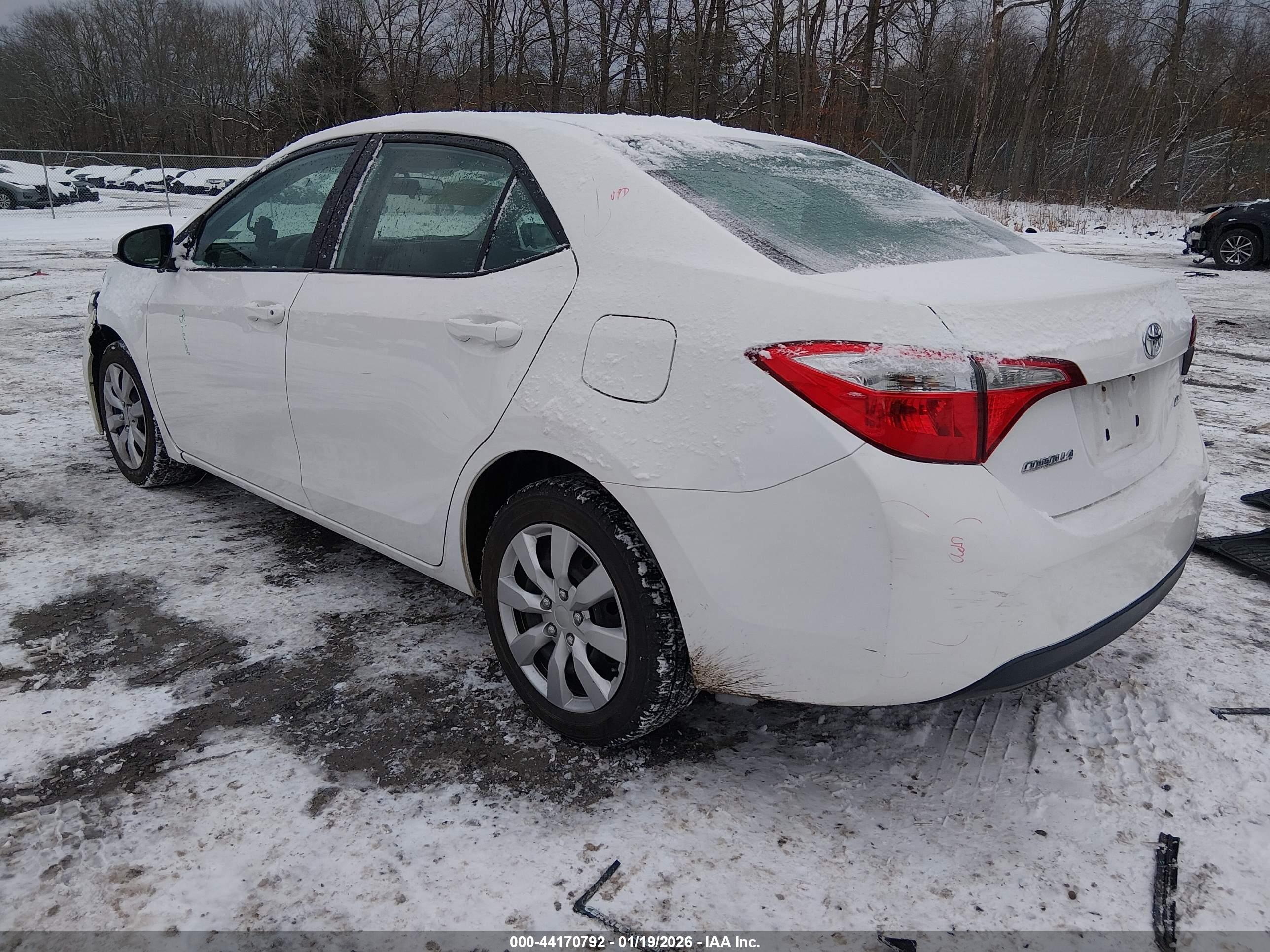 TOYOTA COROLLA image 3