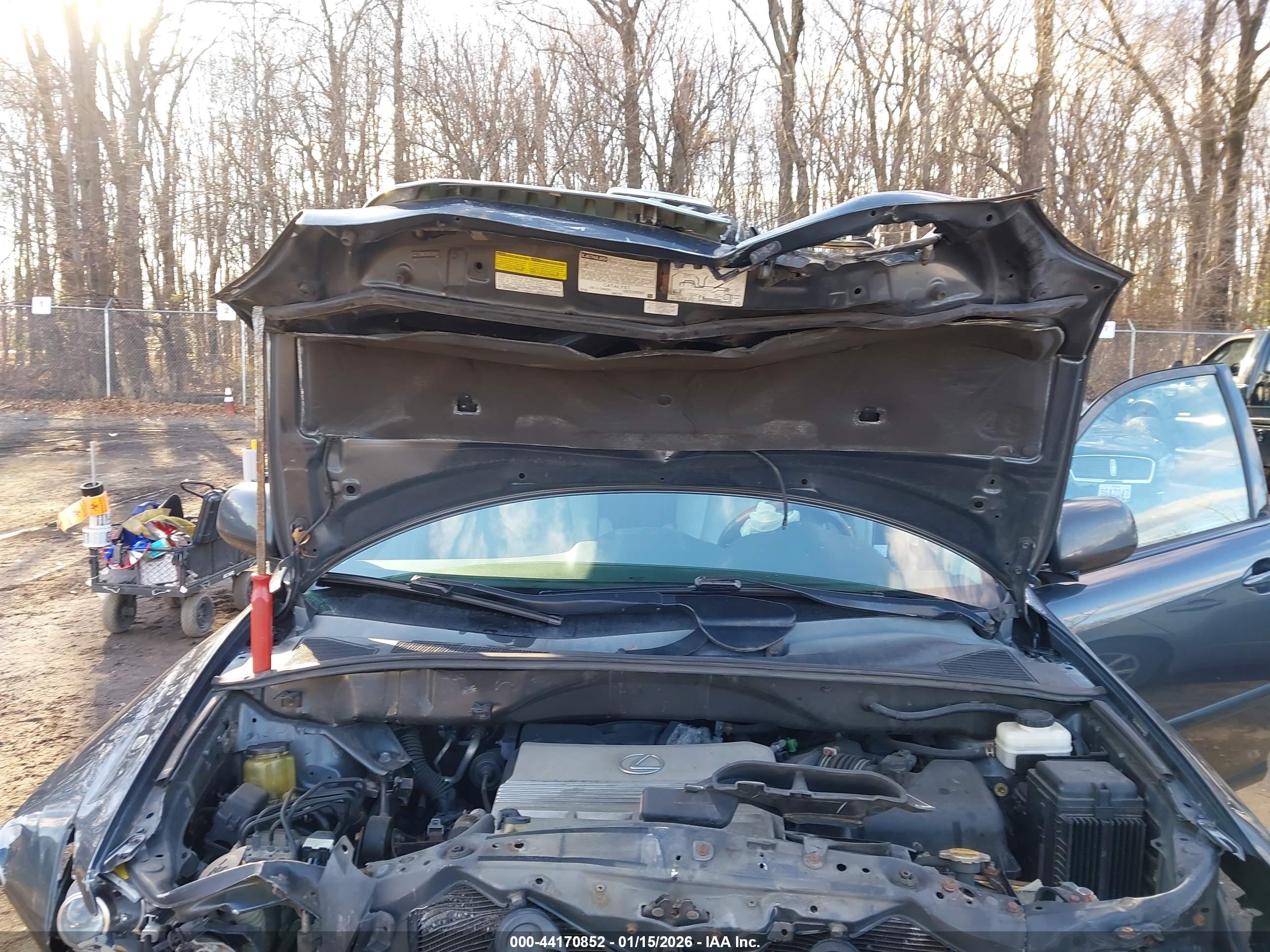 LEXUS RX image 10