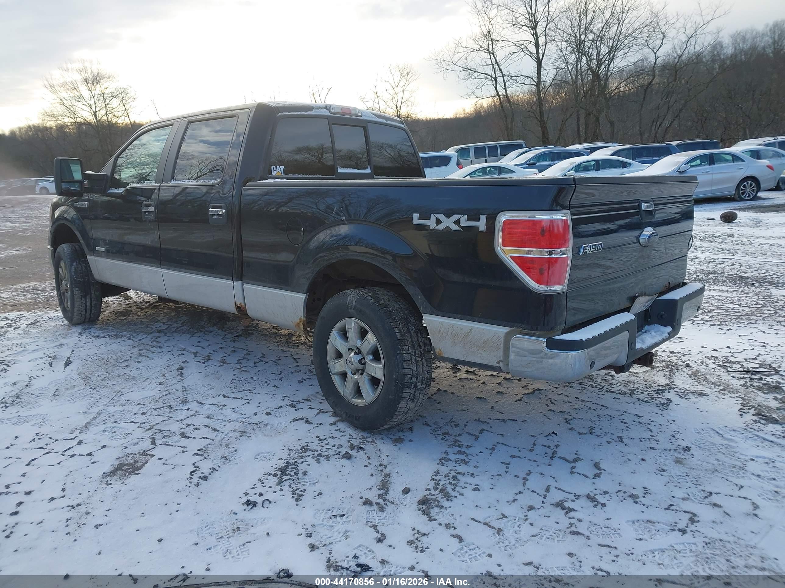 FORD F-150 image 3