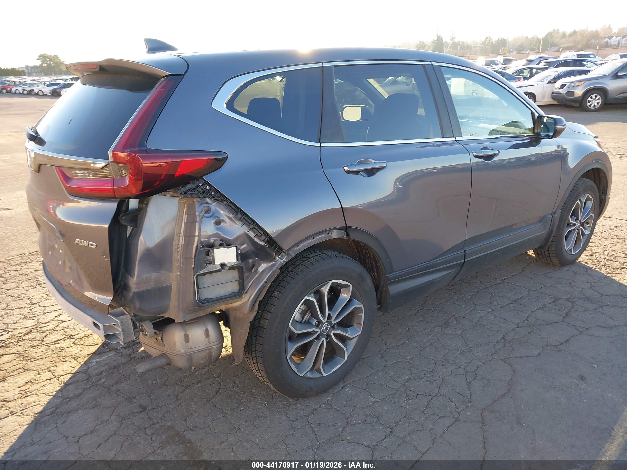 HONDA CR-V image 4