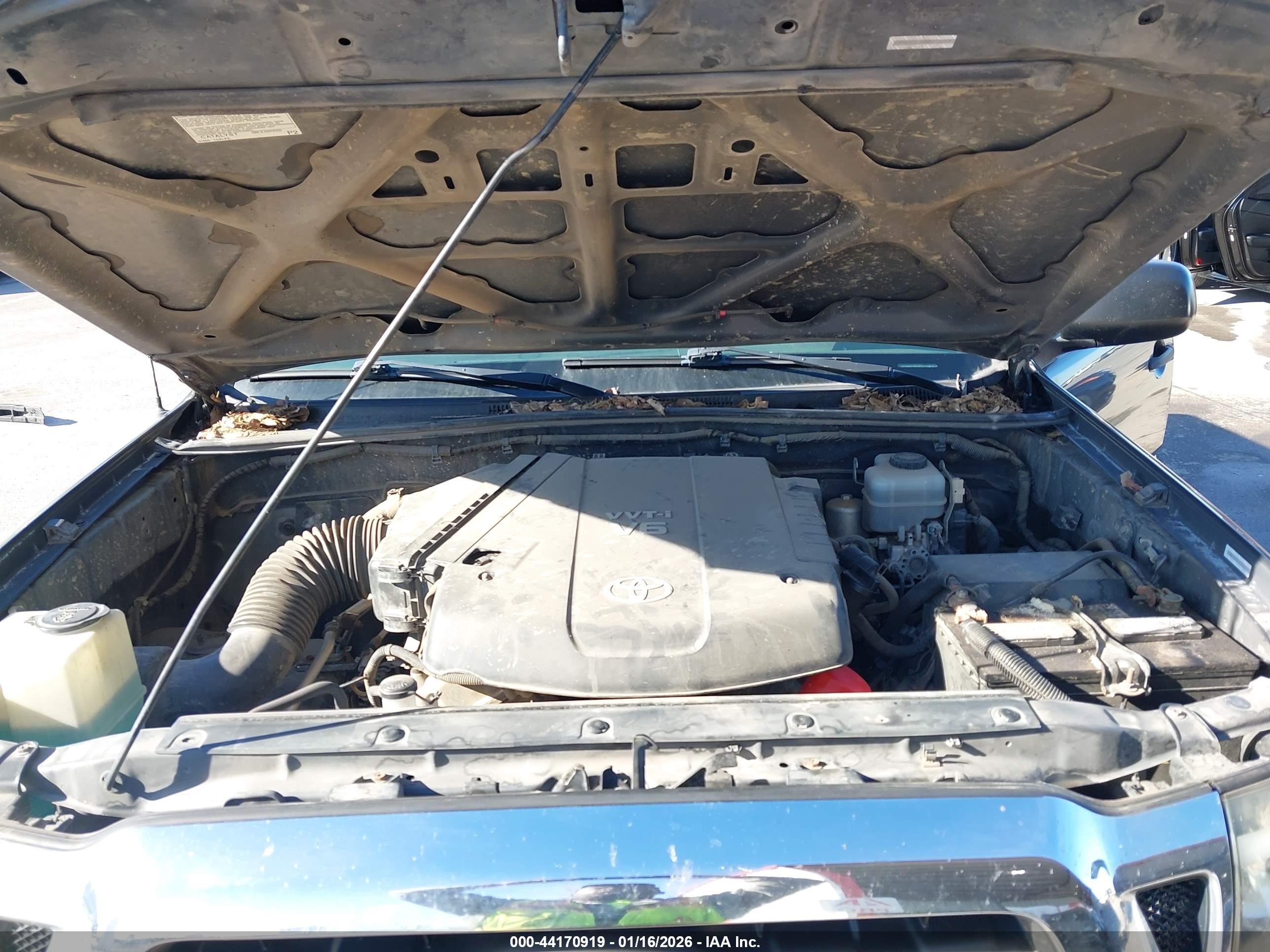 TOYOTA TACOMA image 10
