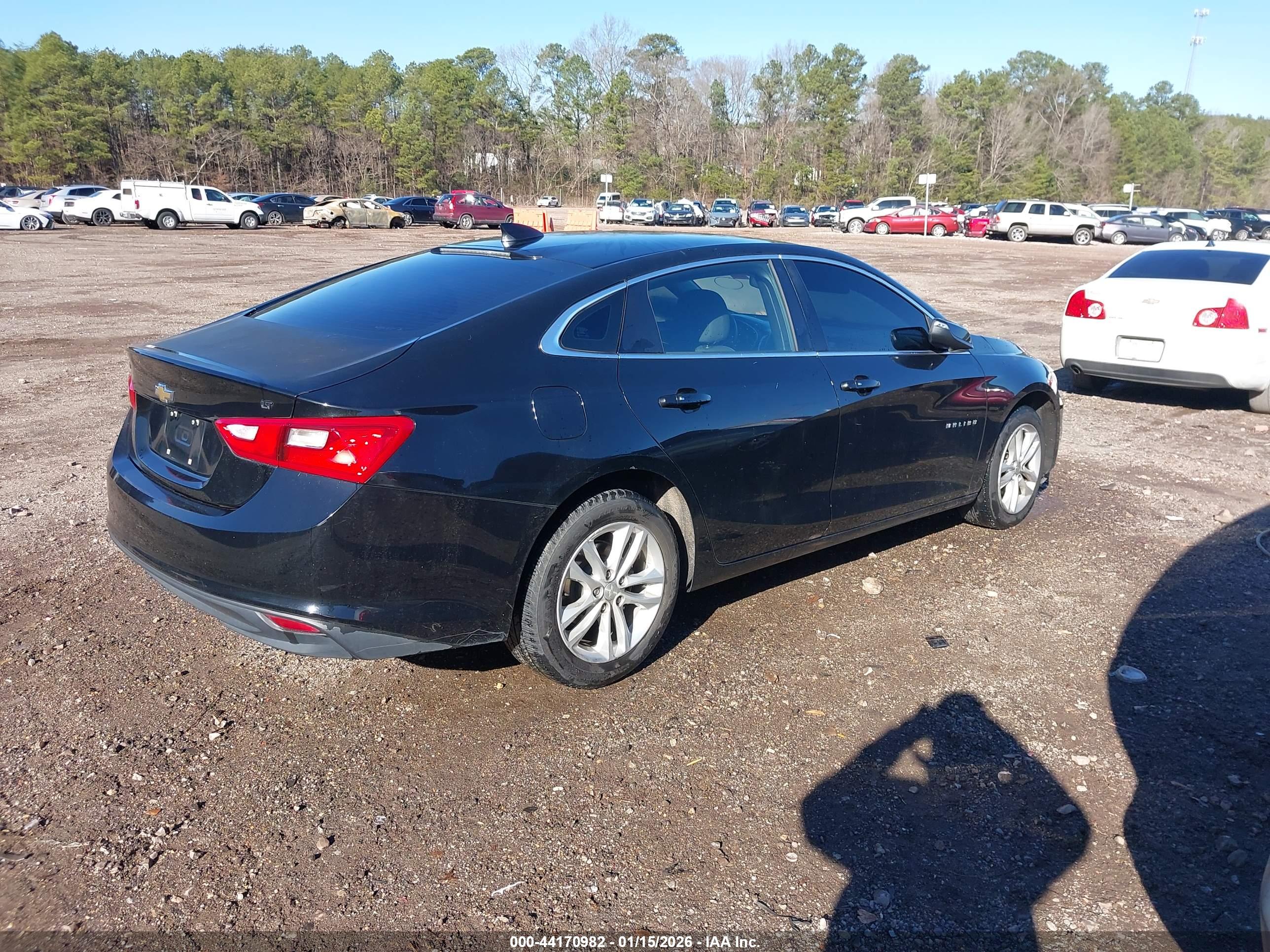 CHEVROLET MALIBU image 4
