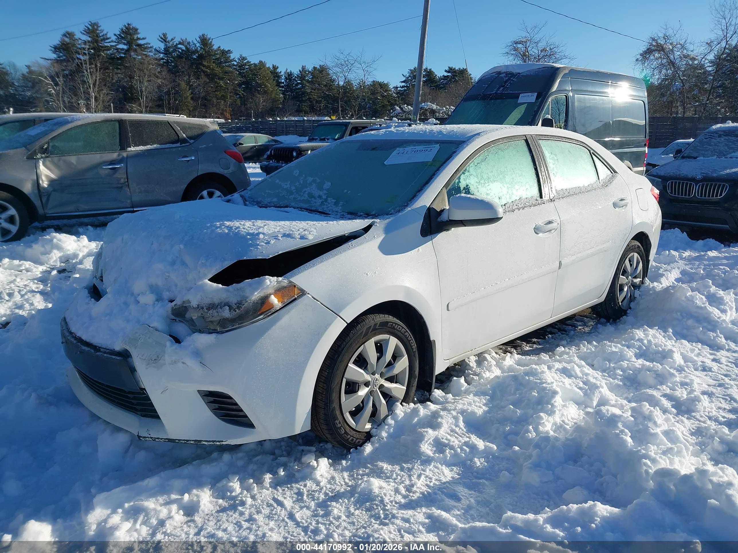 TOYOTA COROLLA image 2