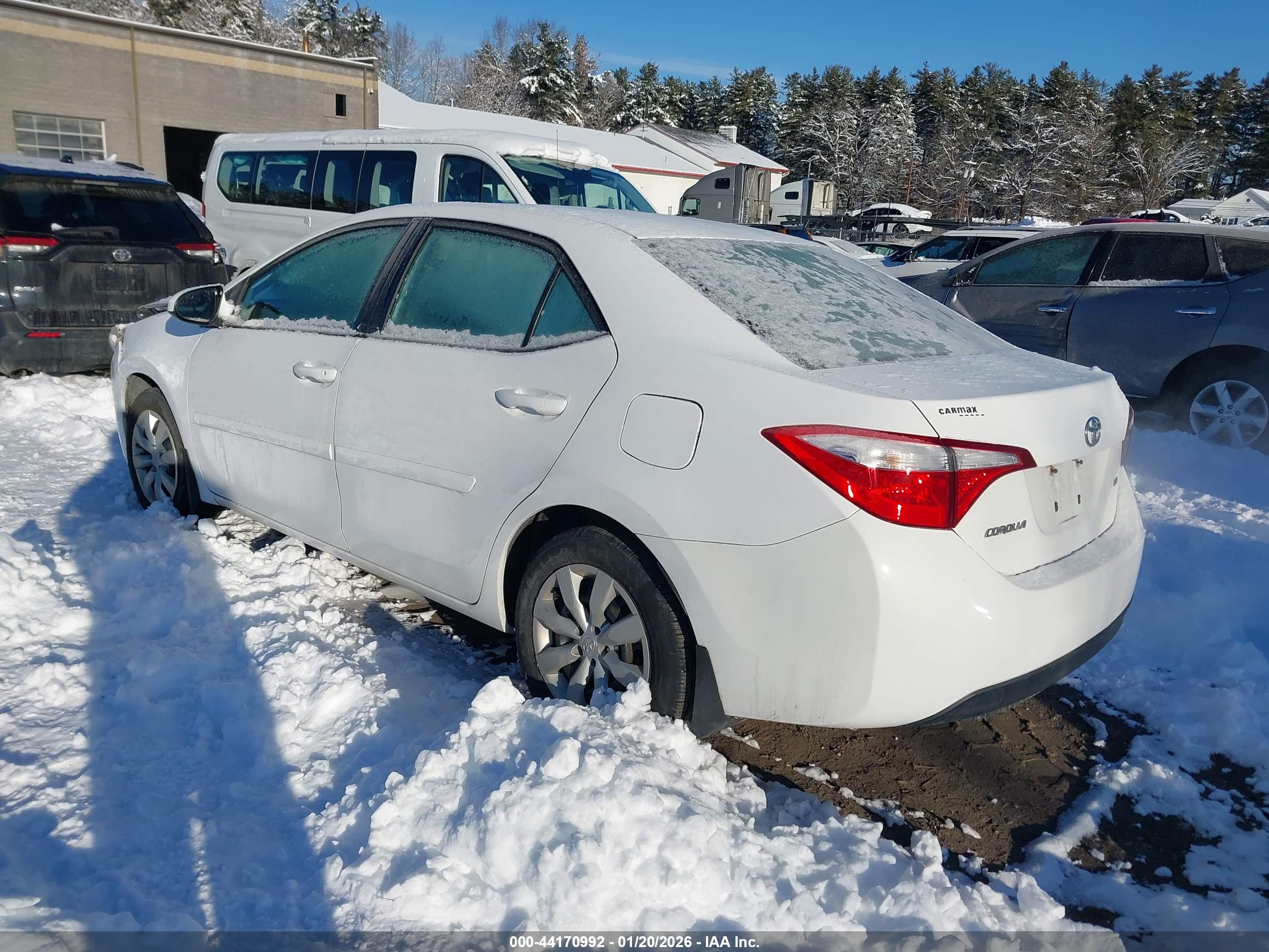 TOYOTA COROLLA image 3