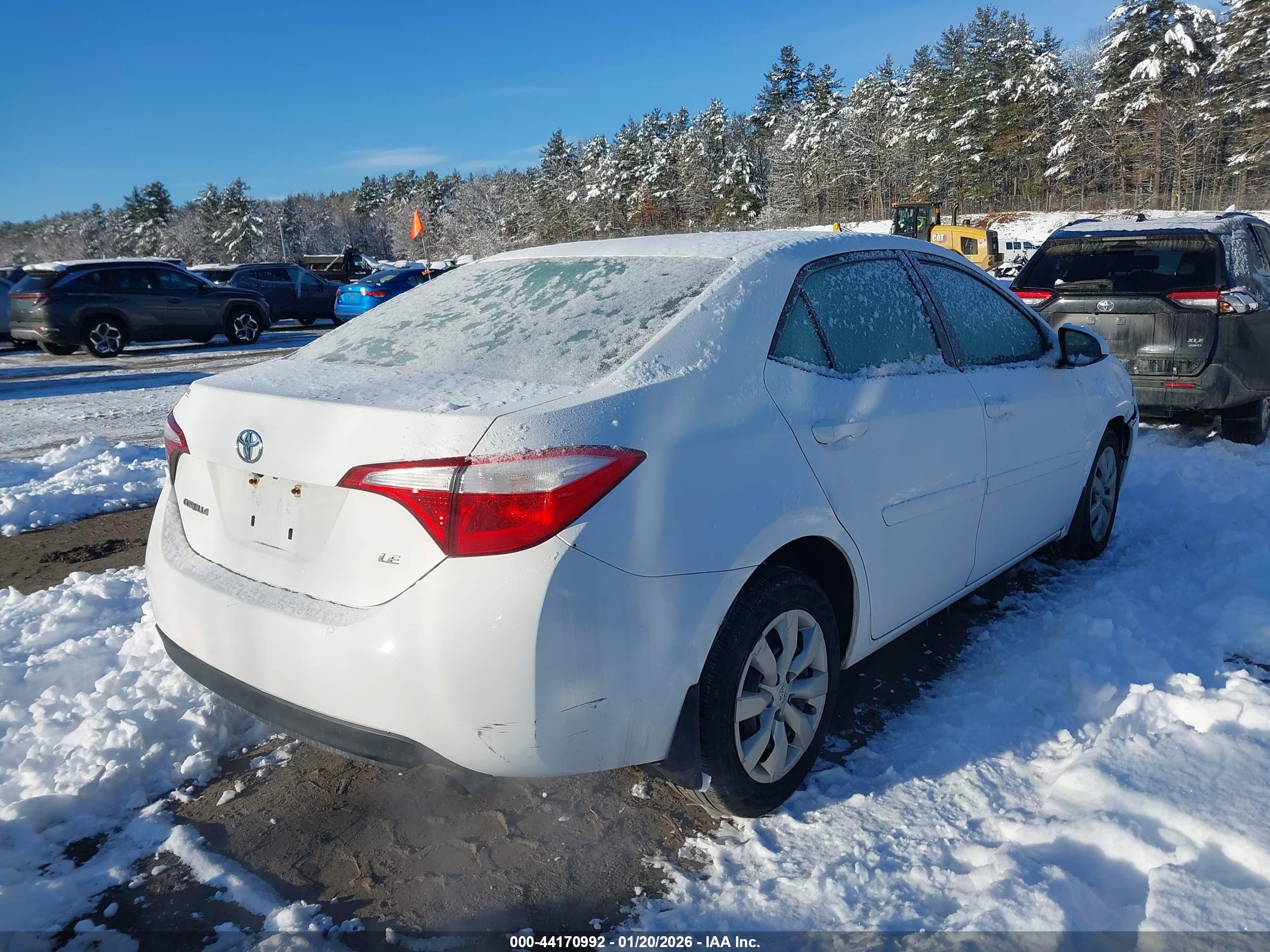 TOYOTA COROLLA image 4