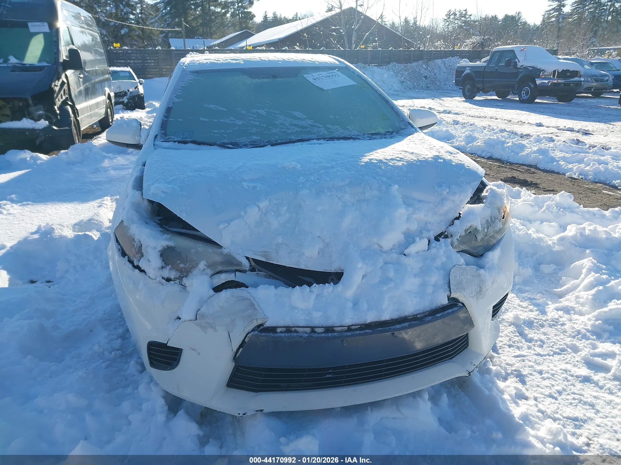 TOYOTA COROLLA image 6