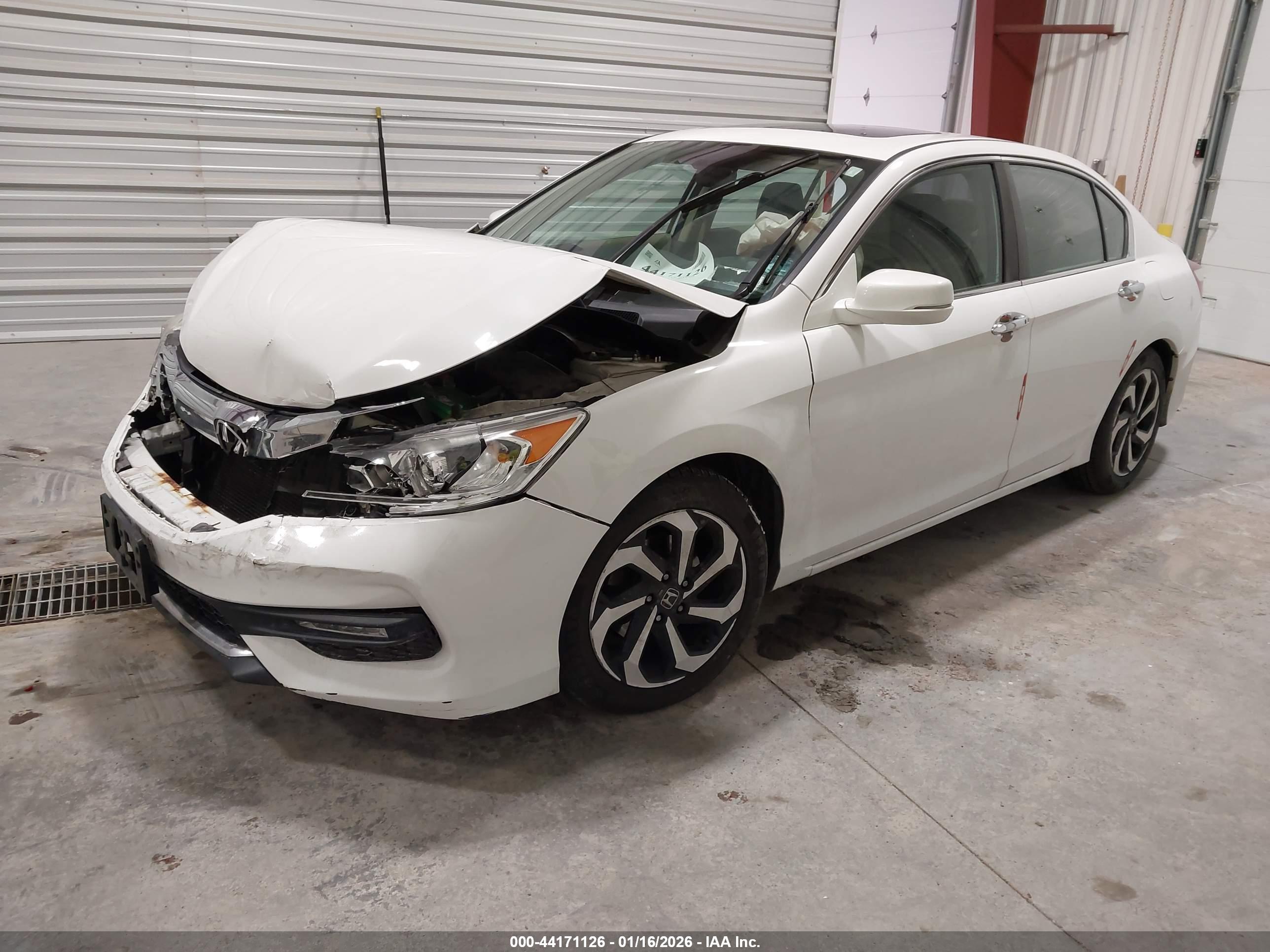 HONDA ACCORD image 2