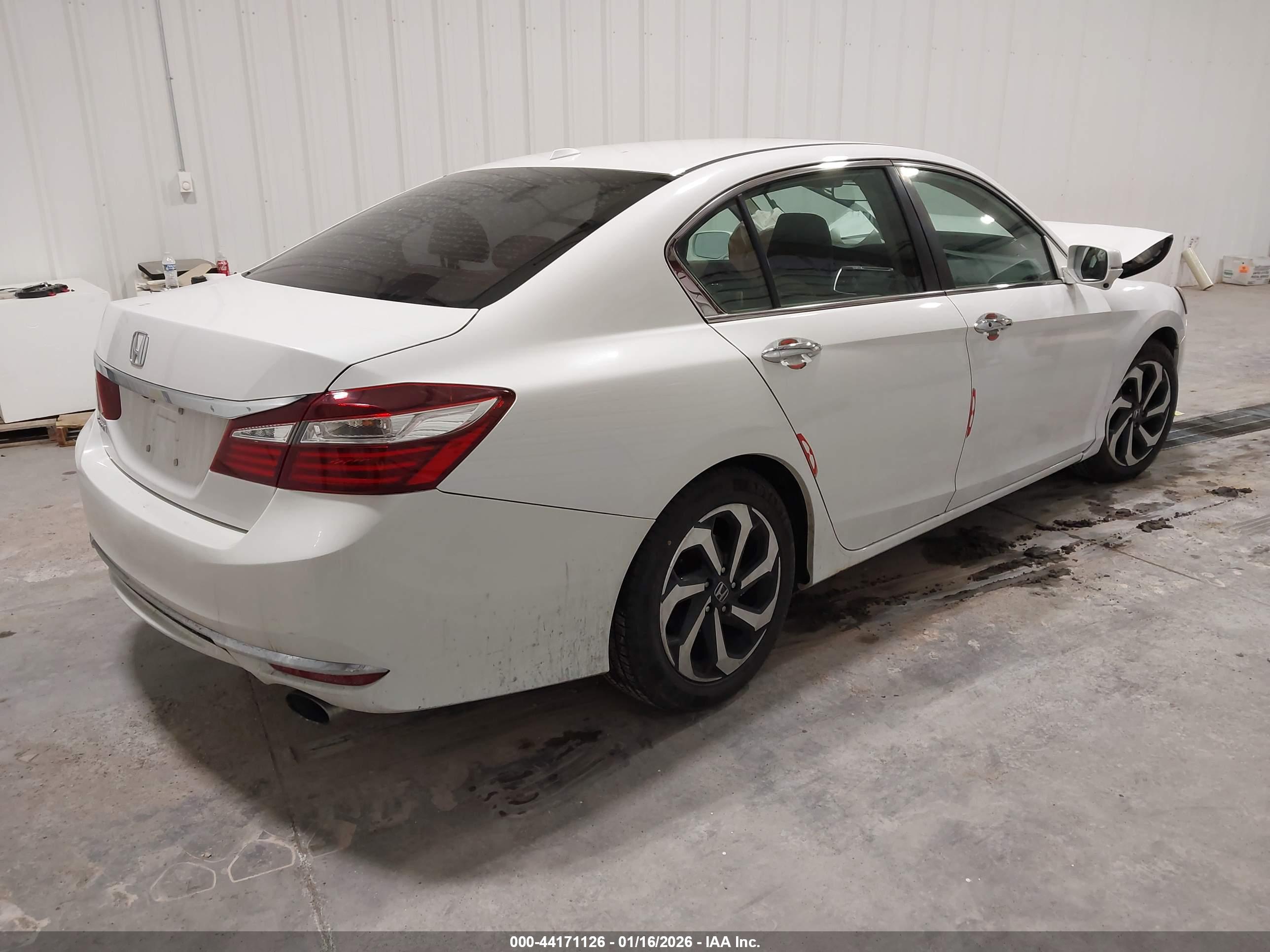 HONDA ACCORD image 4
