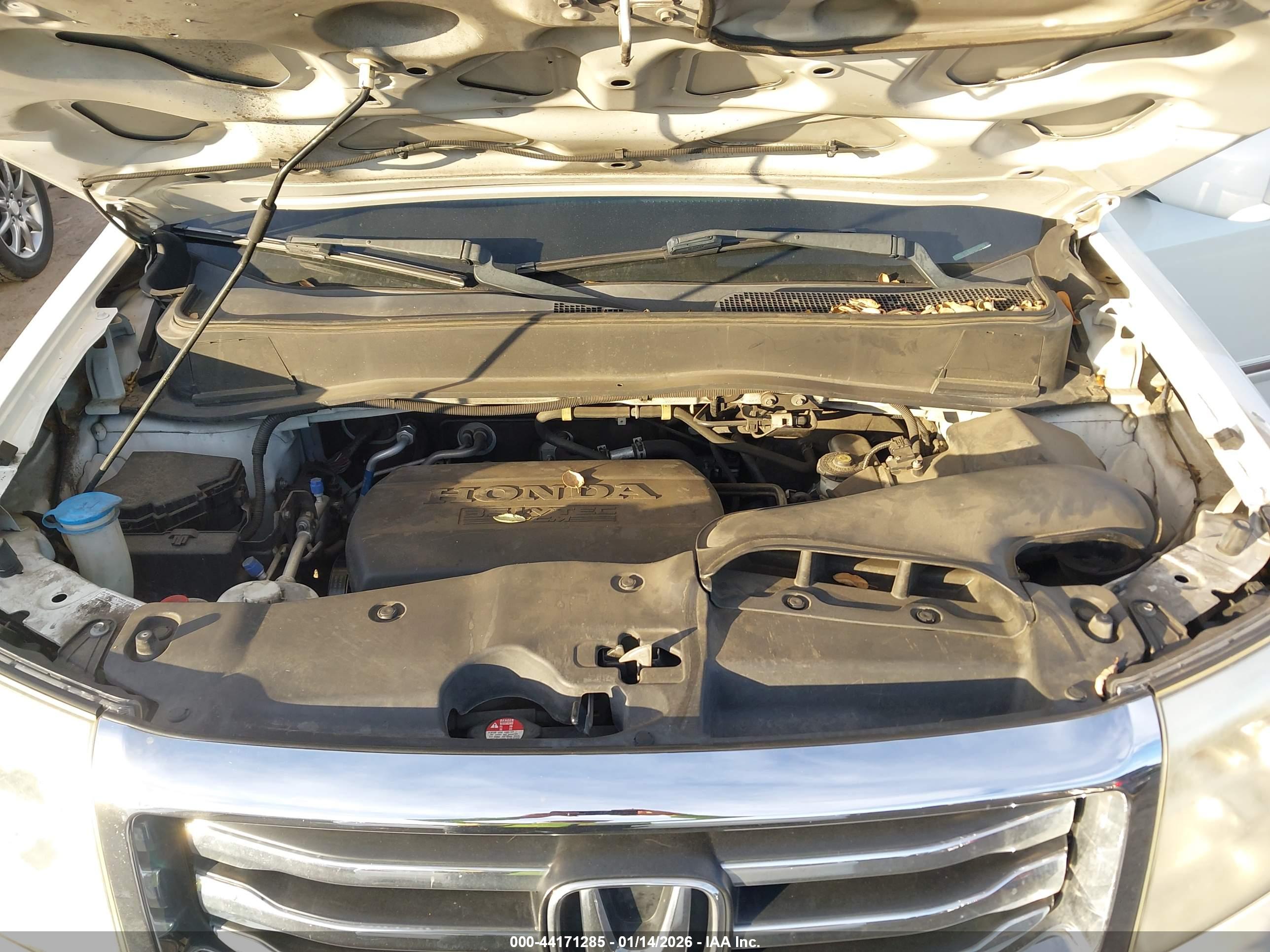 HONDA PILOT image 10