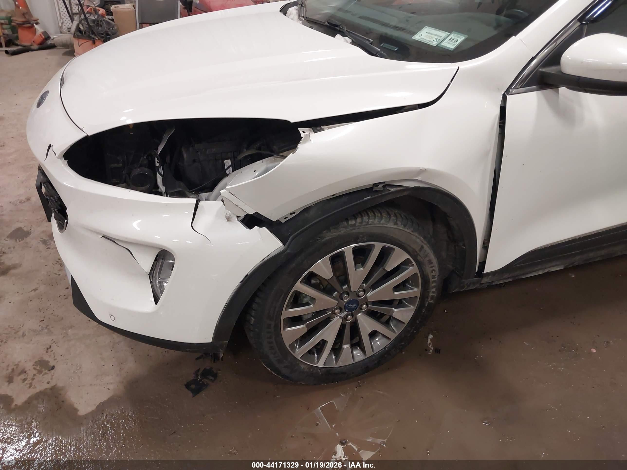 FORD ESCAPE image 6