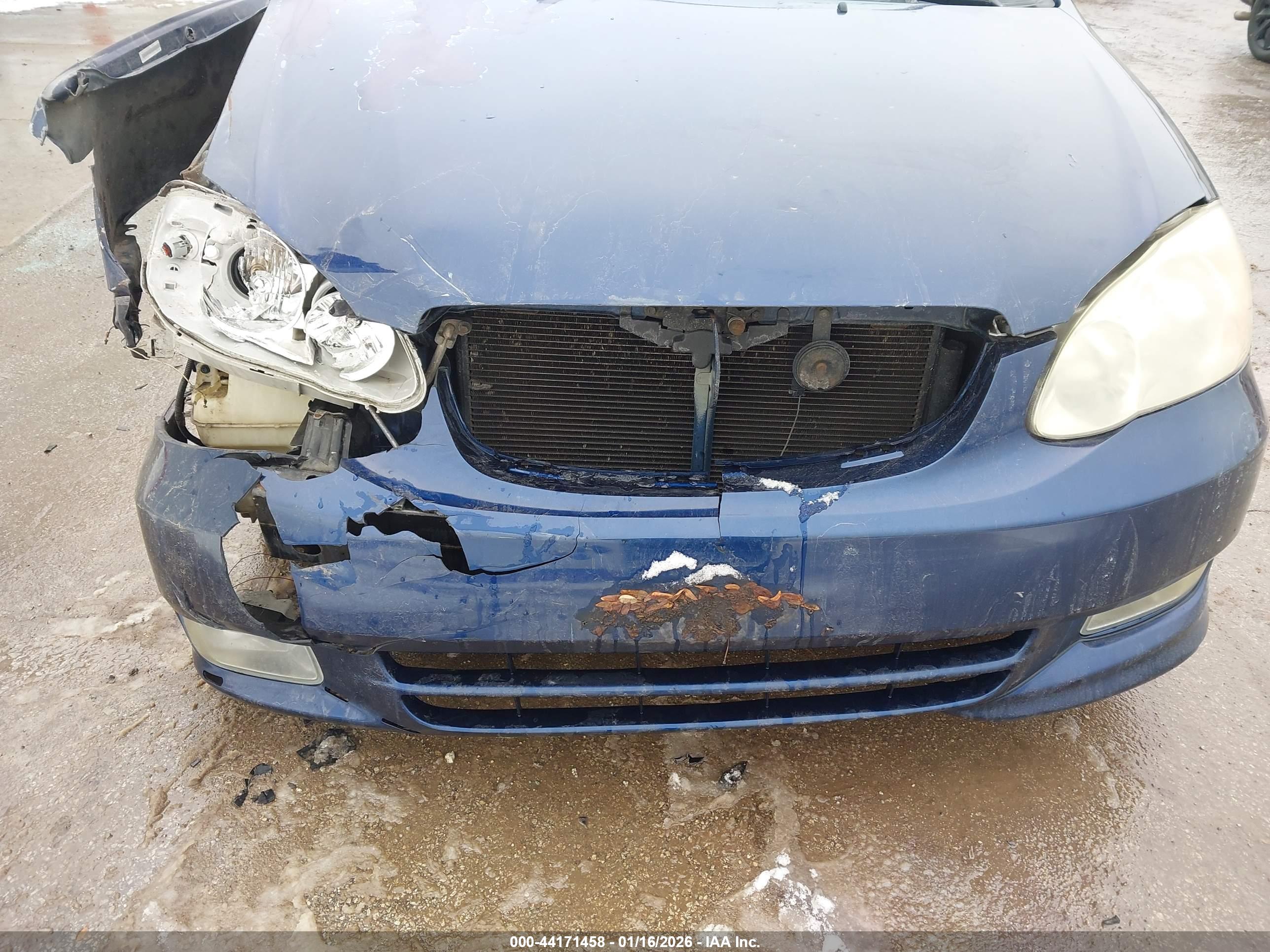 TOYOTA COROLLA image 6