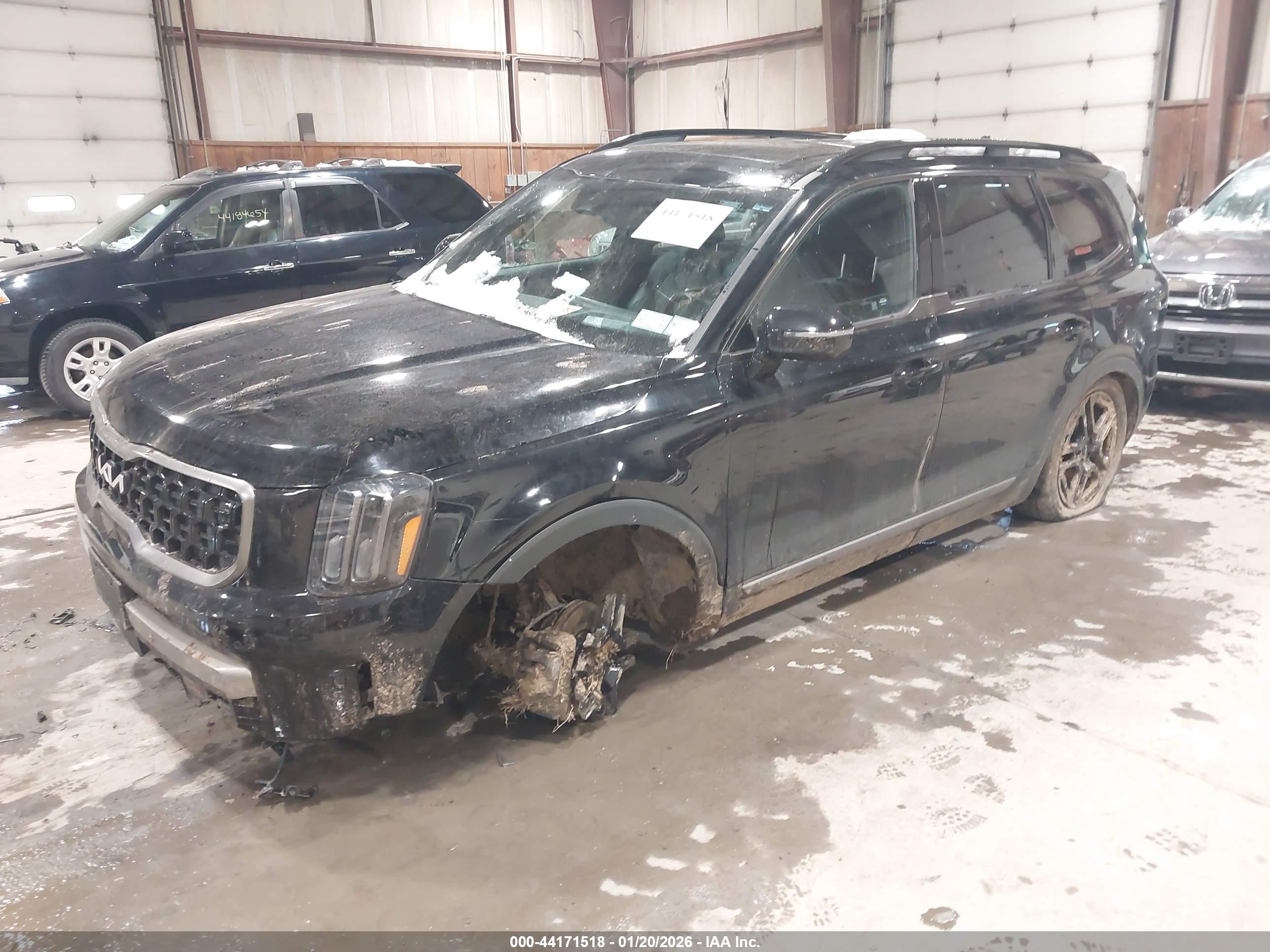 KIA TELLURIDE image 2